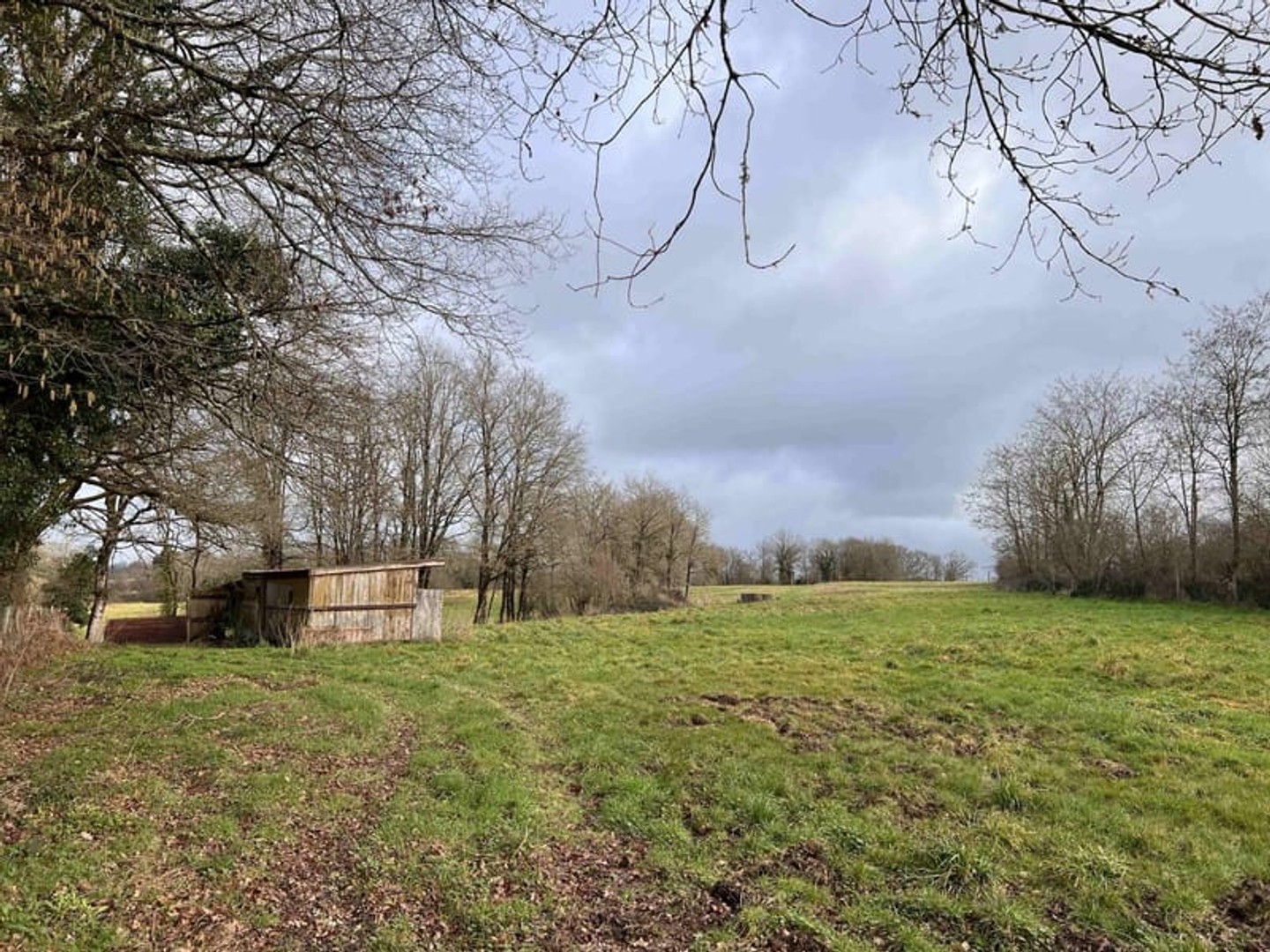 Terrain 80000 m²
