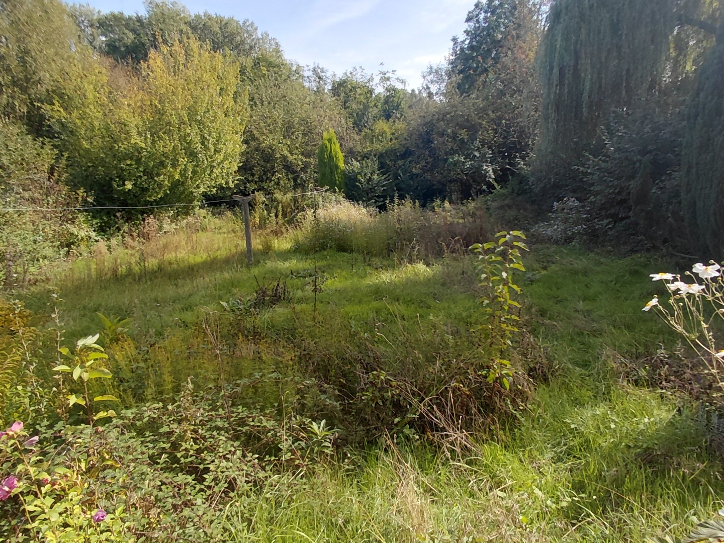 Maison à vendre - 5 pièces - 76m2 - Coyecques (62560)