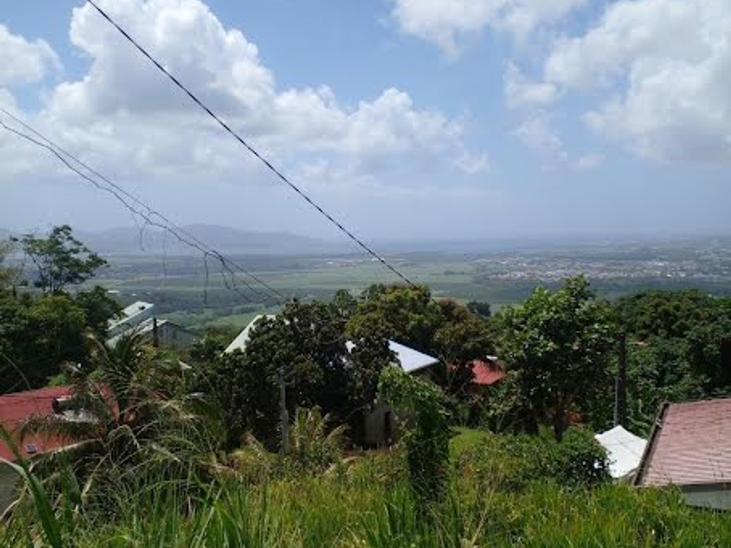 Terrain 1000 m²