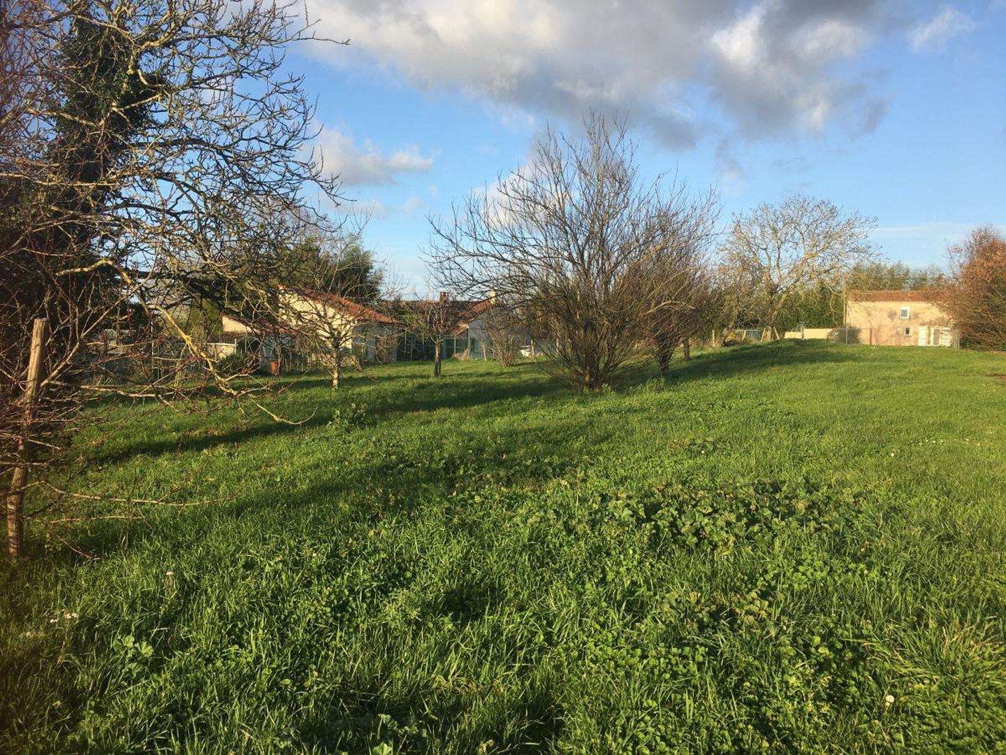 Maison à vendre - 4 pièces - 100m2 - Fontenay-Le-Comte (85200)