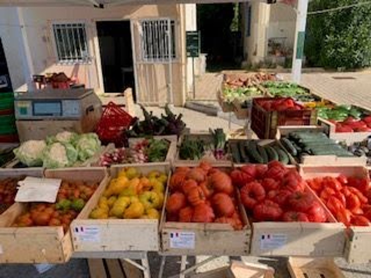 Magasin à vendre - 30m2 - Valaurie (26230)
