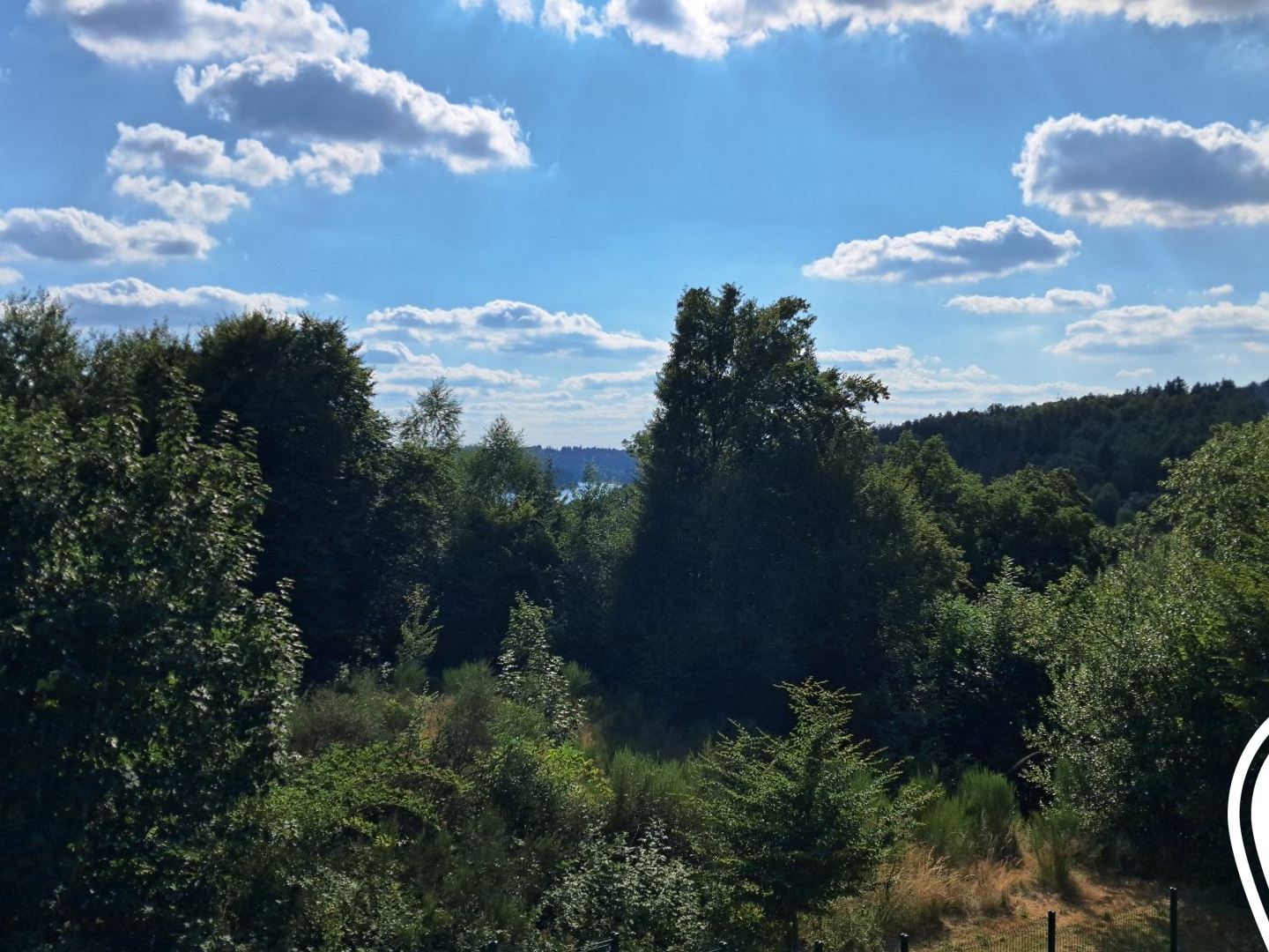 Maison à vendre - 10 pièces - 279m2 - Pierre-Percée (54540)