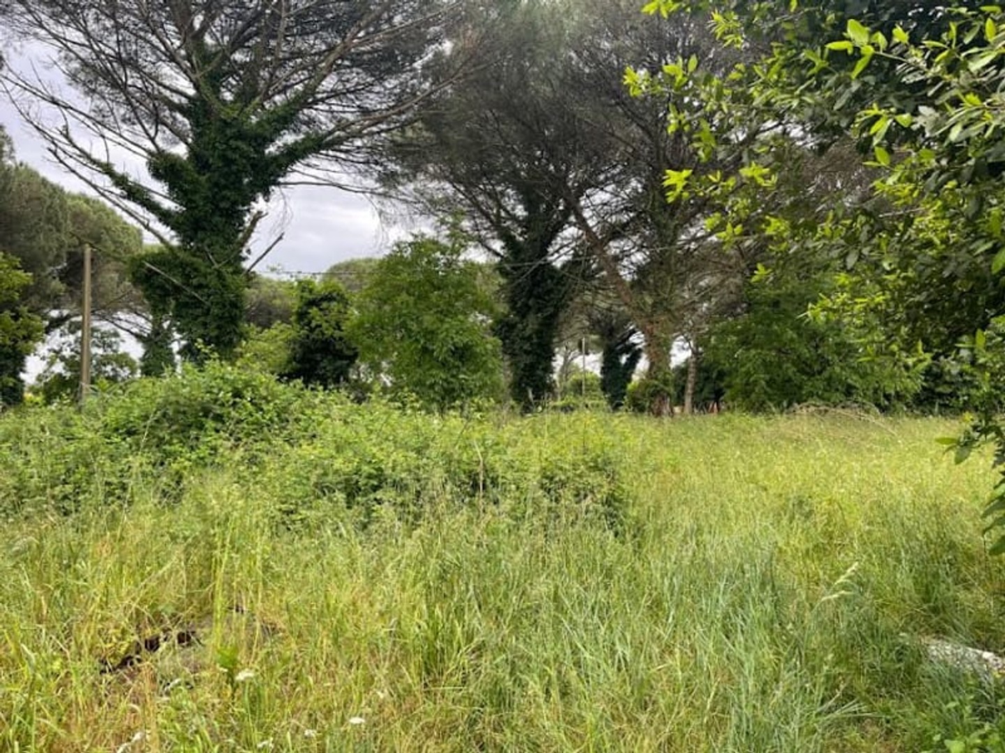 Terrain 1080 m²