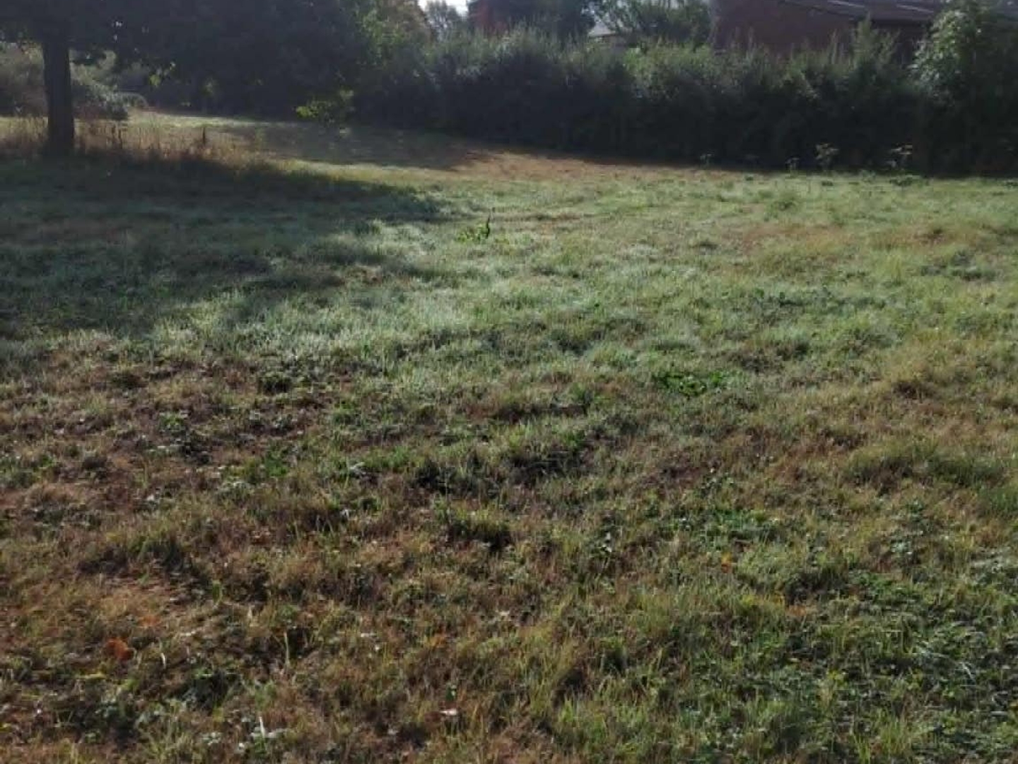 Terrain à vendre - 1200m2 - Dourlers (59440)