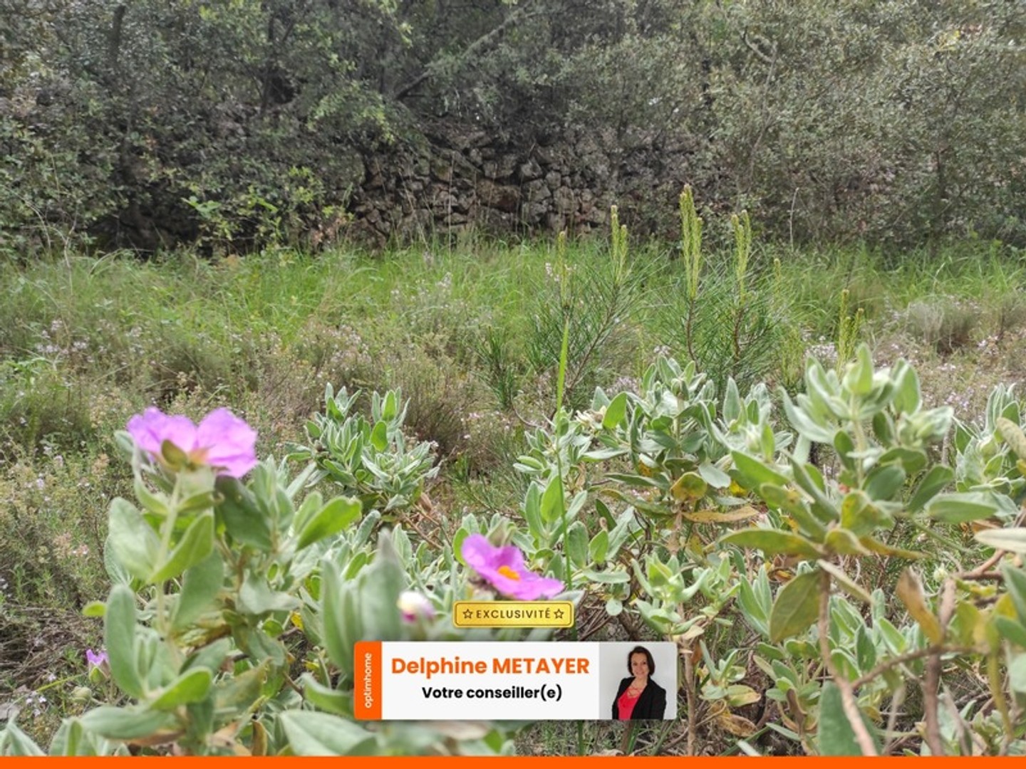 📍 Terrain naturel 7 990 m² - Tavernes (83) - Accessible camping-car - Idéal loisirs nature !
