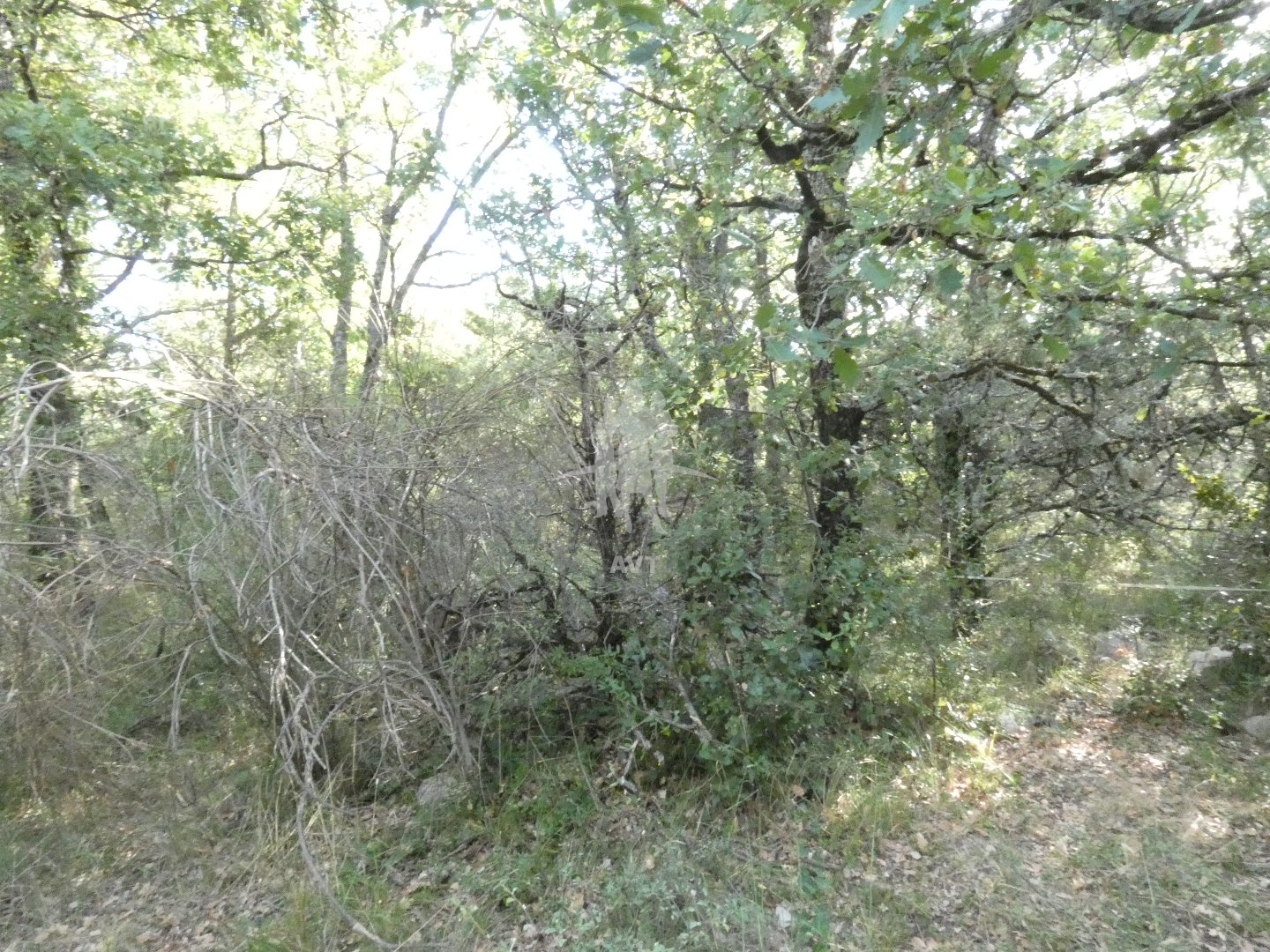Terrain à vendre - 5240m2 - Bargemon (83830)