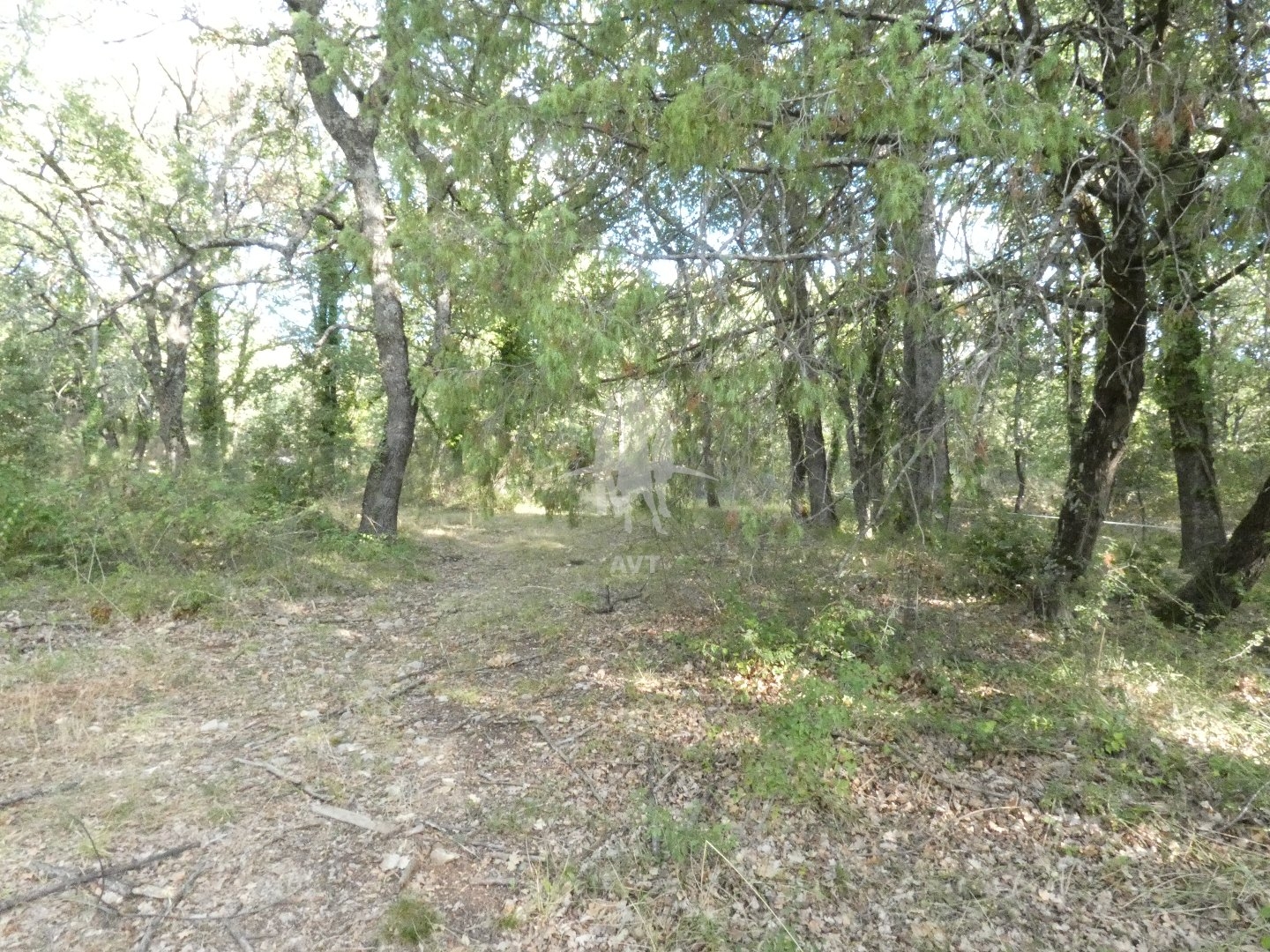 Terrain à vendre - 5240m2 - Bargemon (83830)