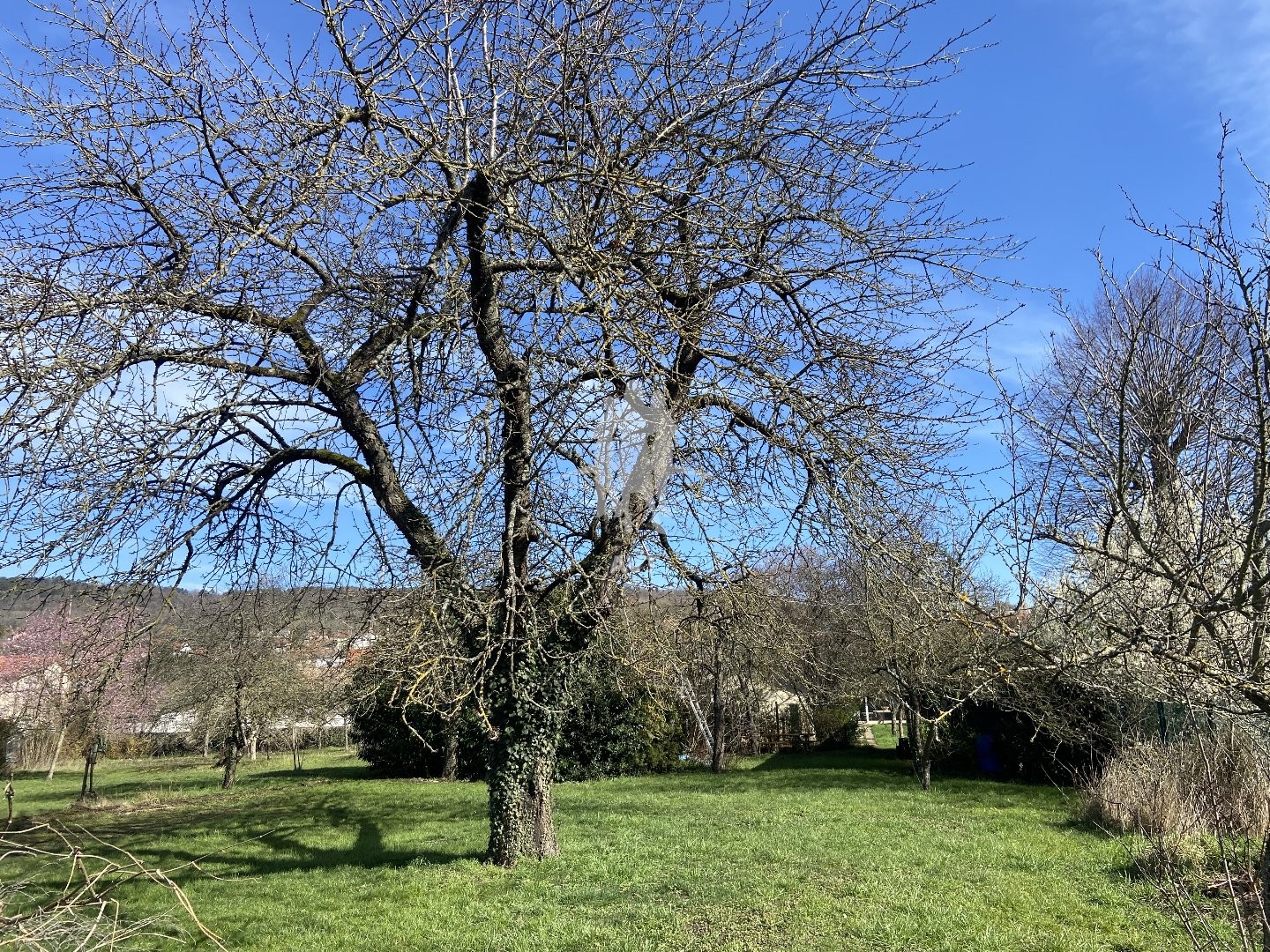 Terrain à vendre - 2375m2 - Malzeville (54220)