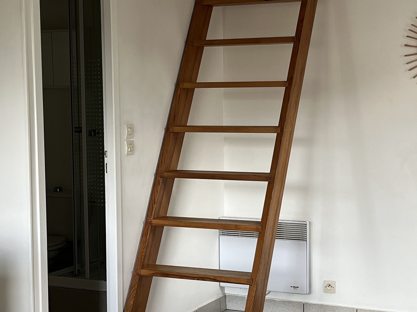 Appartement 1 pièce 21 m²