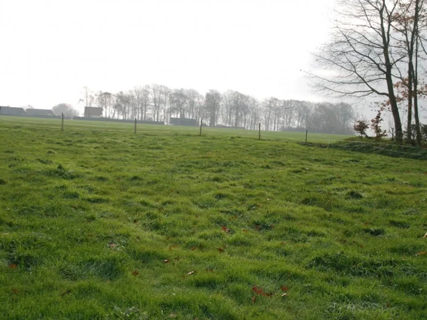 Terrain 1550 m²