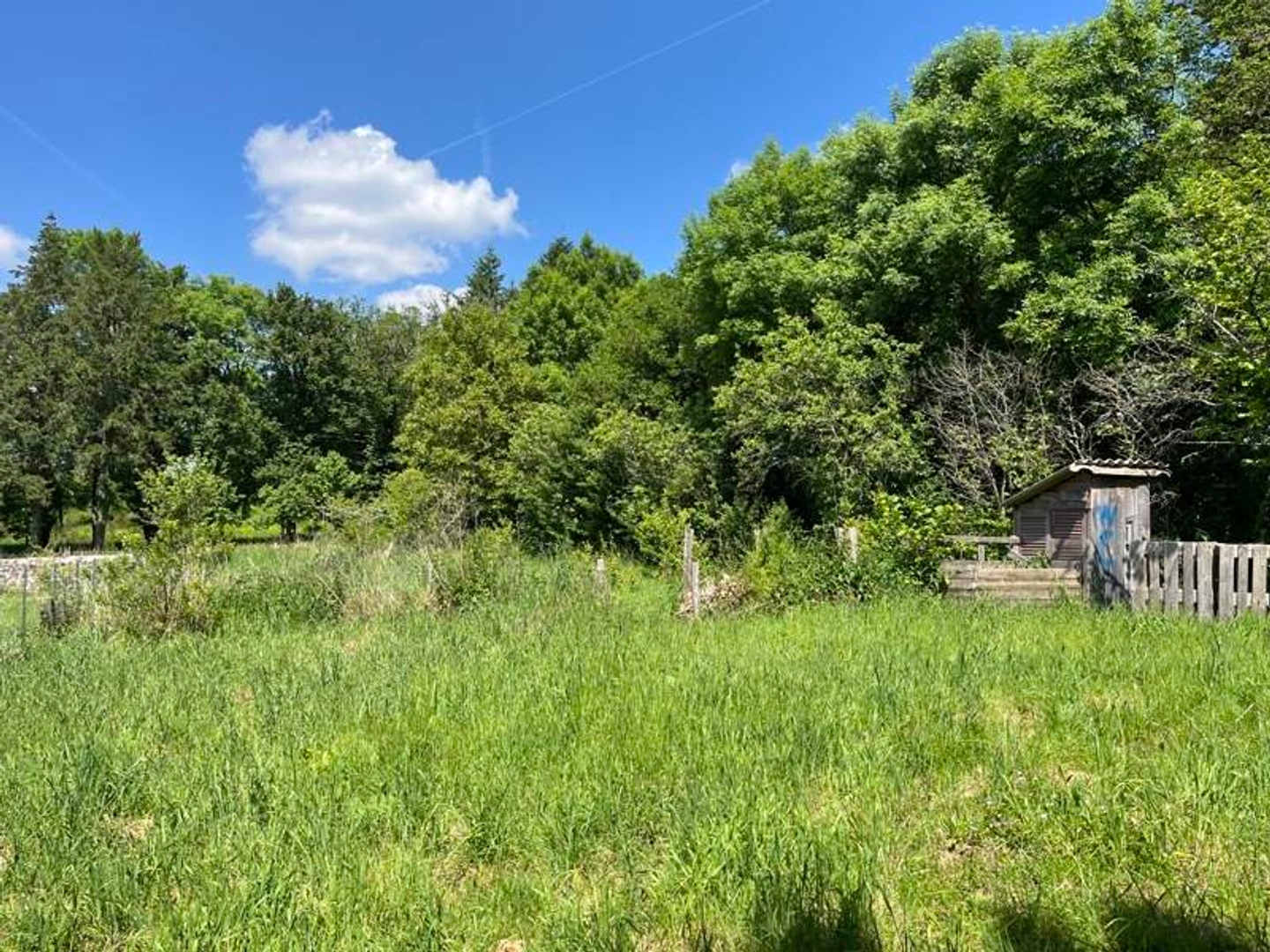 Maison à vendre - 7 pièces - 180m2 - La Bazeuge (87210)