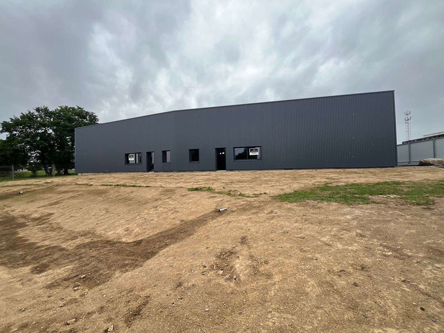 Local 239 m²