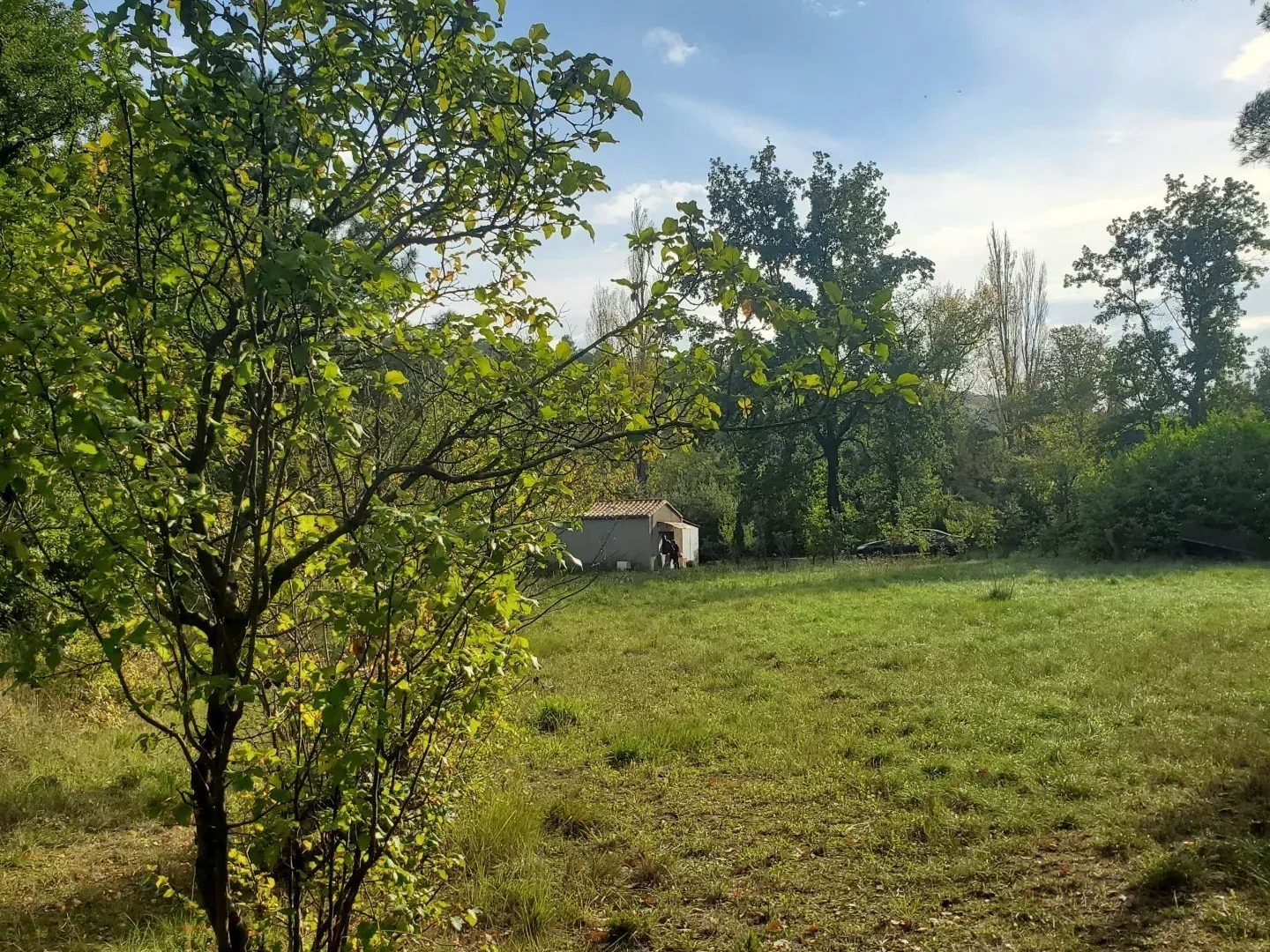 A vendre un terrain de 5085m² avec une bâtisse de 67m²