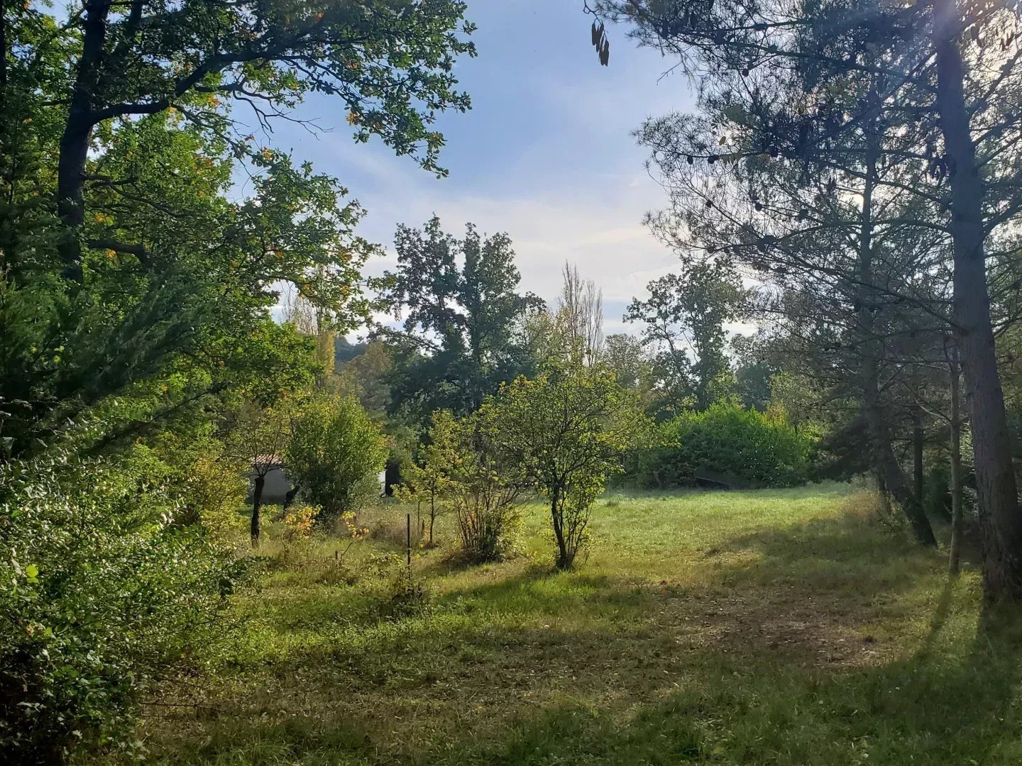 Terrain à vendre - 5085m2 - Castelreng (11300)