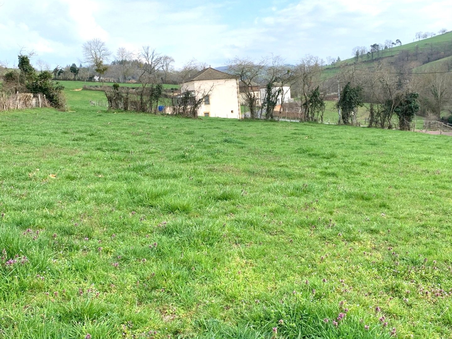Terrain en individuel 1590 m²