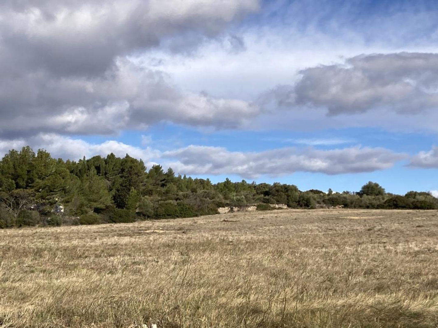 Terrain en individuel 362 m²