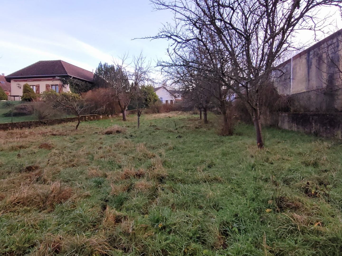 Terrain à vendre - 1840m2 - Saint-Dié-Des-Vosges (88100)