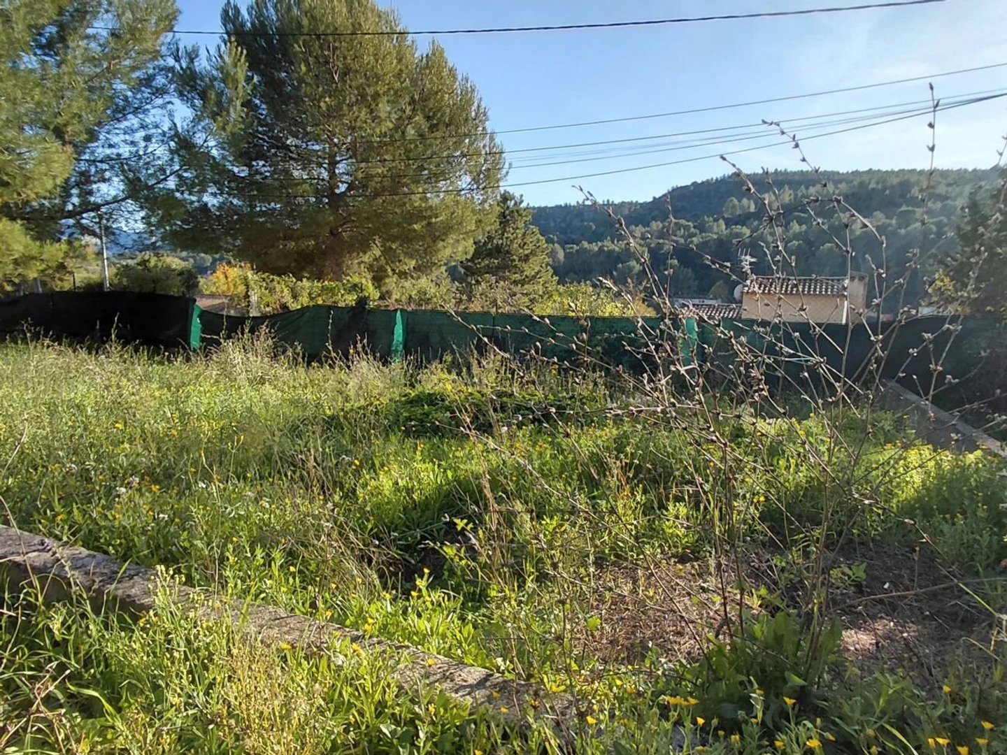 Terrain 500 m²