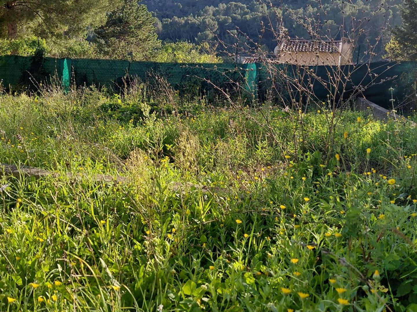 Terrain à vendre - 500m2 - Peypin (13124)