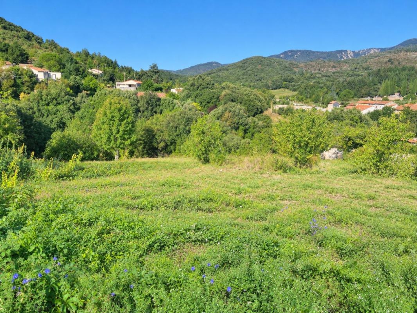 Terrain à vendre - 2306m2 - Saint-Étienne-D'a... (34390)