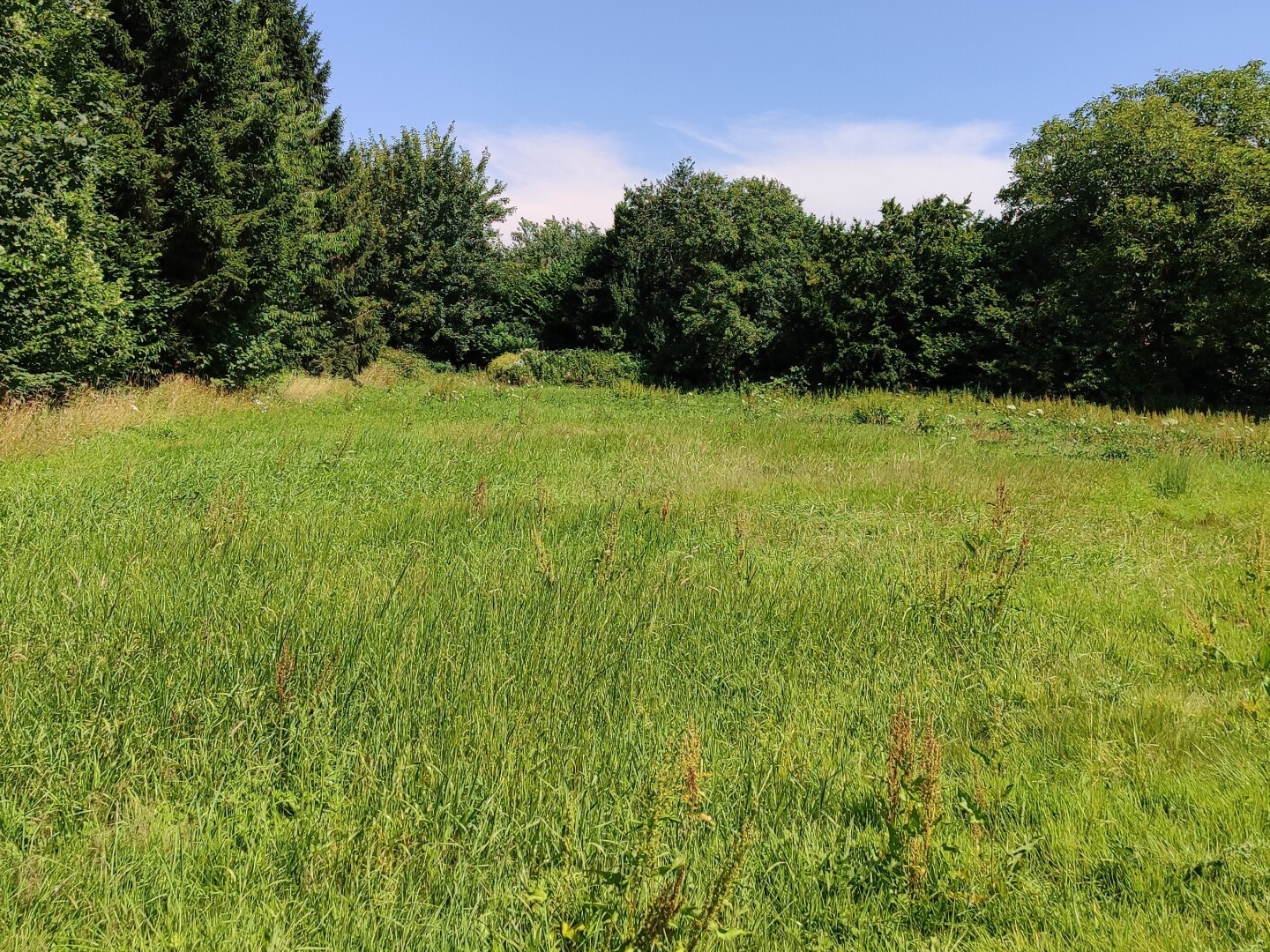 Terrain en individuel 1380 m²