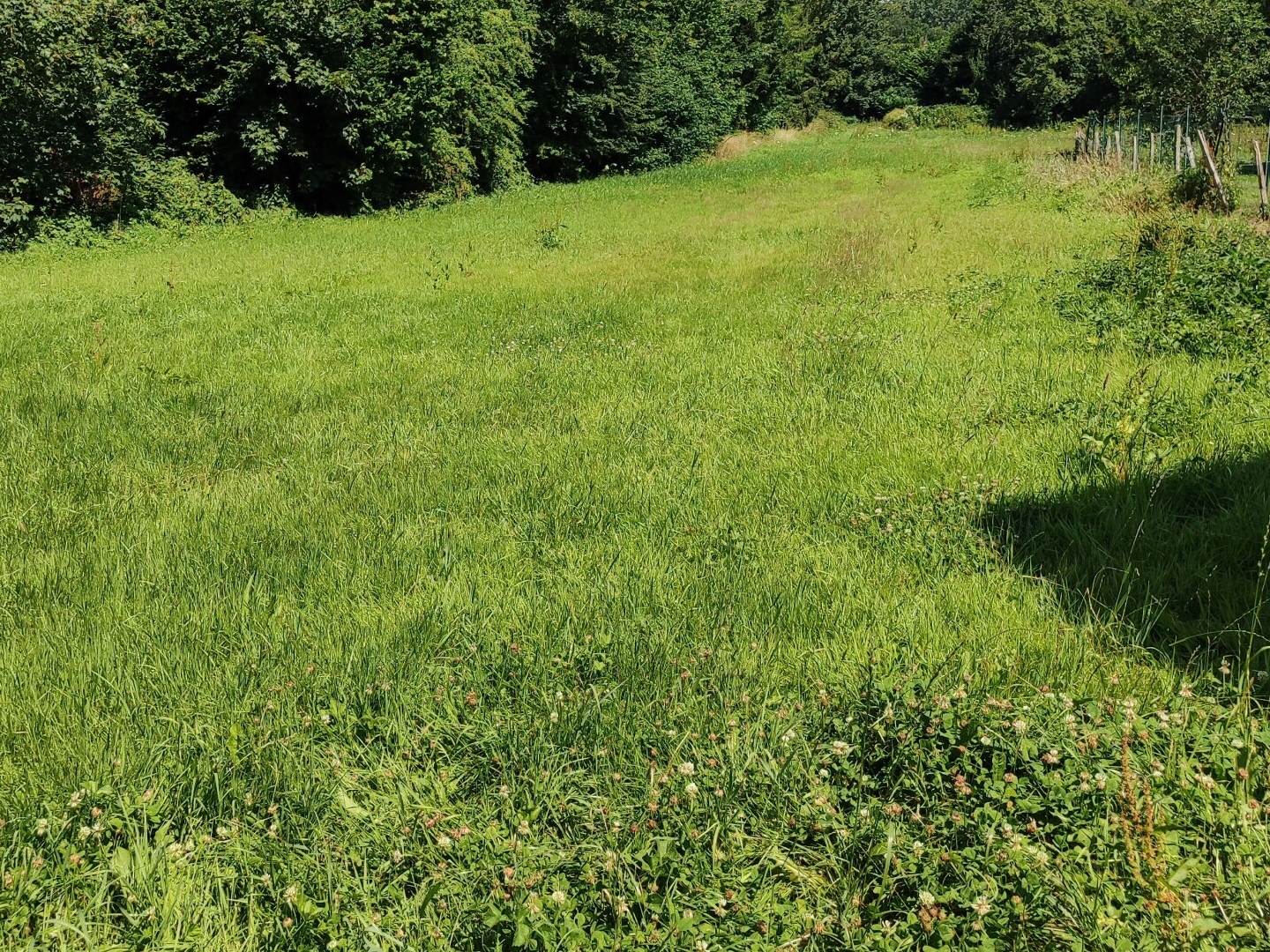 Terrain à vendre - 1380m2 - Bernieulles (62170)