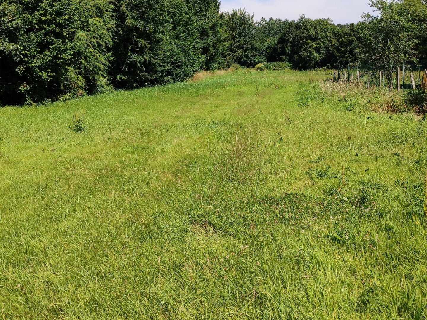 Terrain à vendre - 1380m2 - Bernieulles (62170)