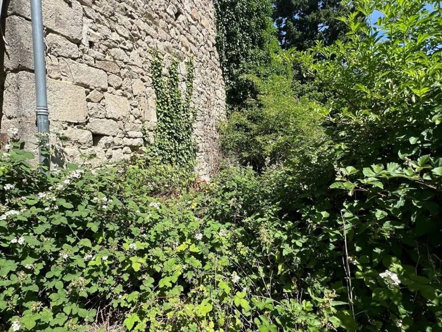 Maison à vendre - 1 pièce - 109m2 - Chénérailles (23130)