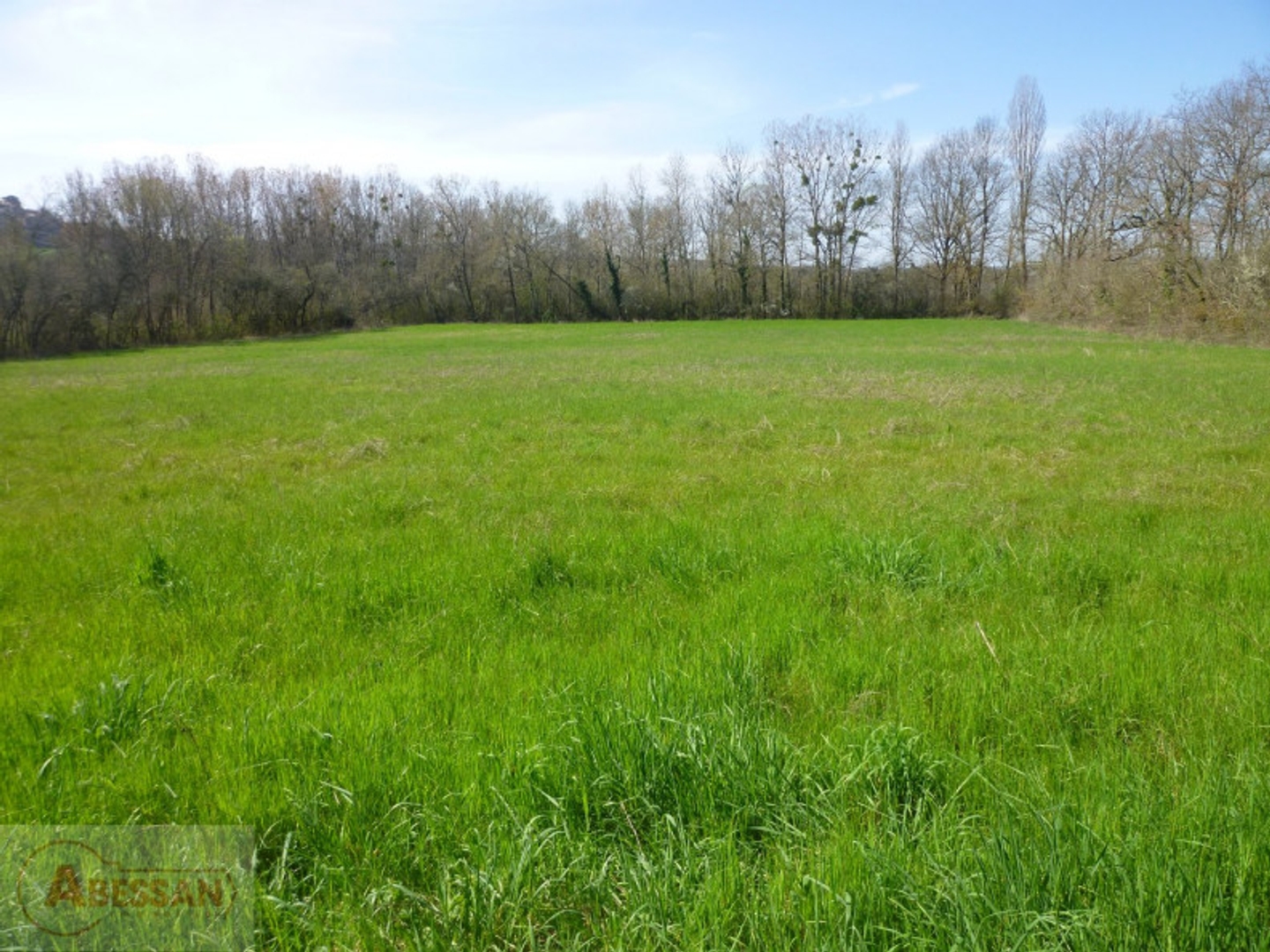 Terrain à vendre - 10000m2 - Cordes-Sur-Ciel (81170)