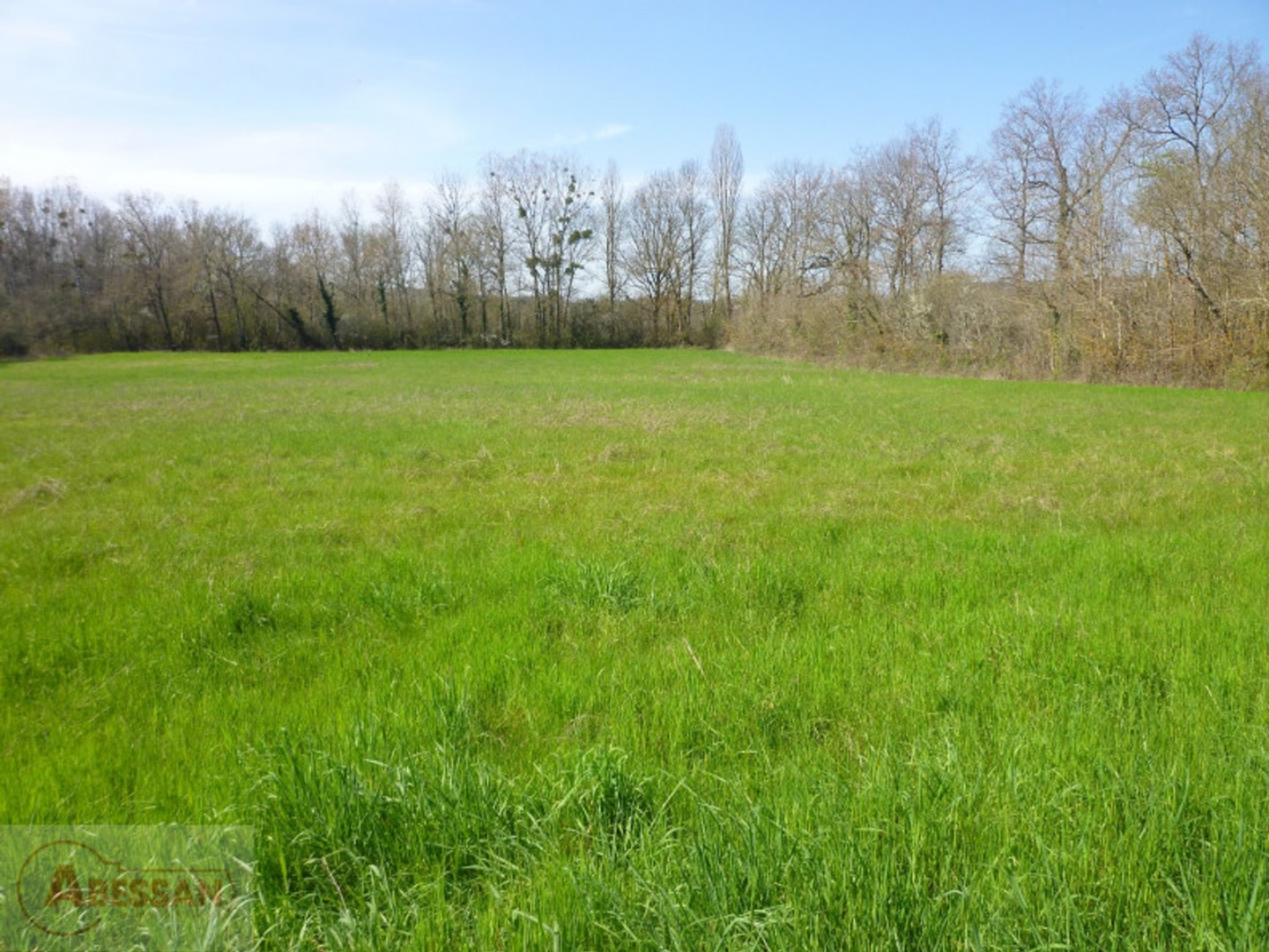 Terrain à vendre - 10000m2 - Cordes-Sur-Ciel (81170)