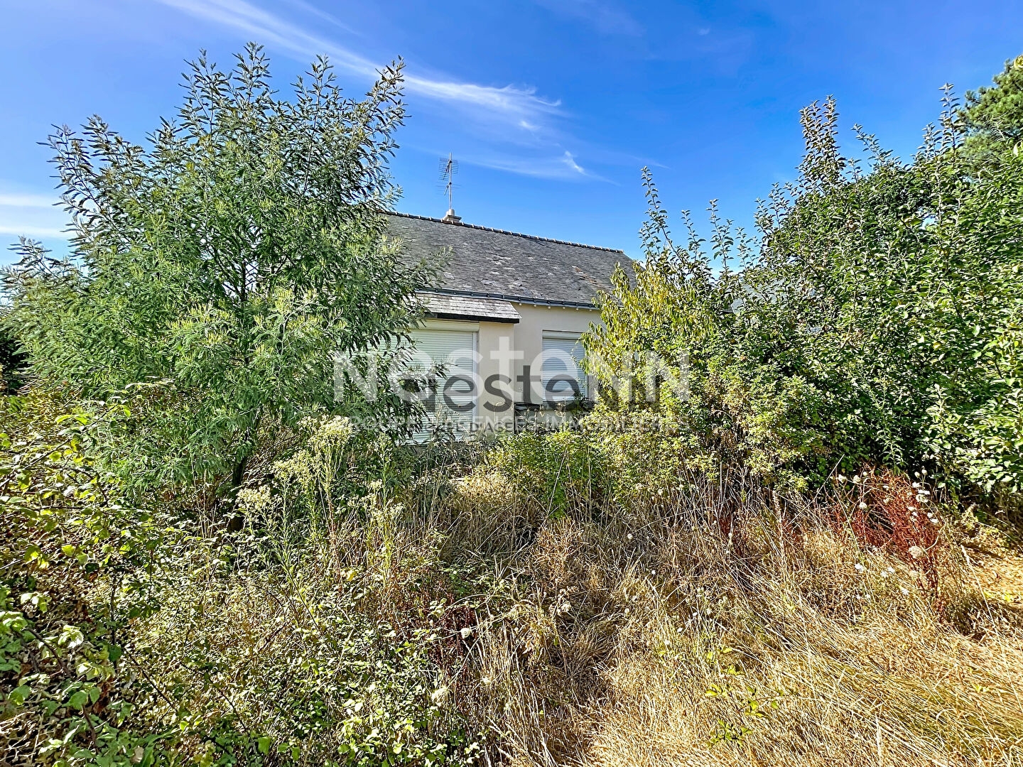 Maison à vendre - 4 pièces - 75m2 - Surzur (56450)