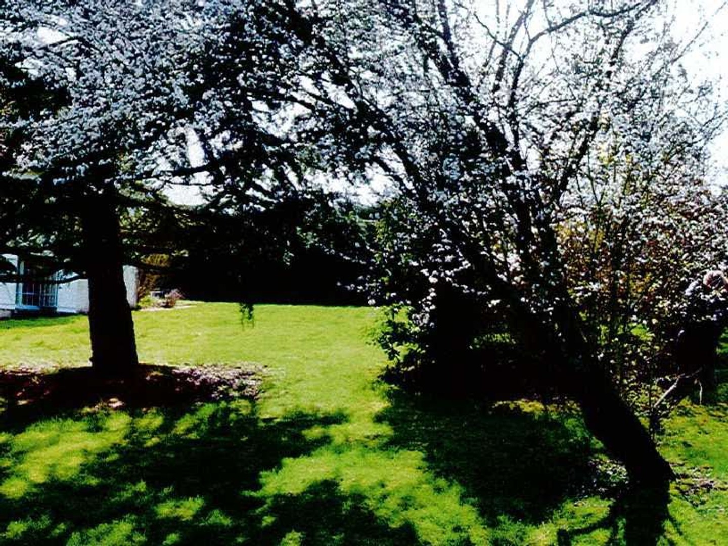 Terrain 466 m²