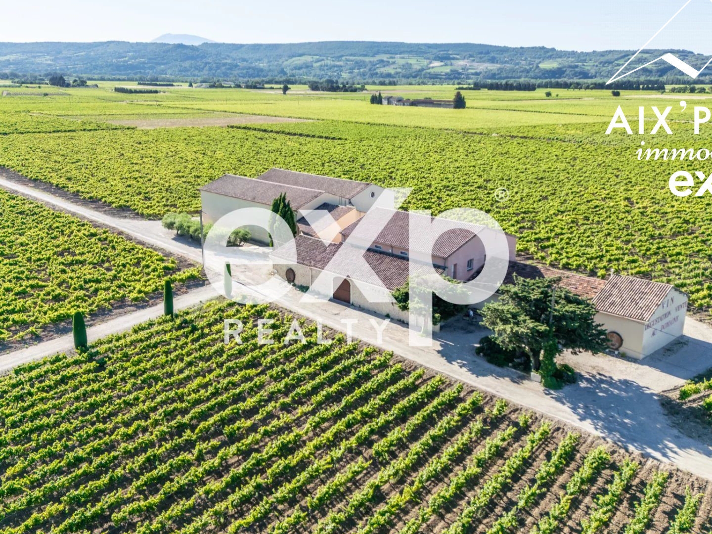 Vente Exceptionnelle d'un Domaine Viticole : Cave à Vin et 2 ap