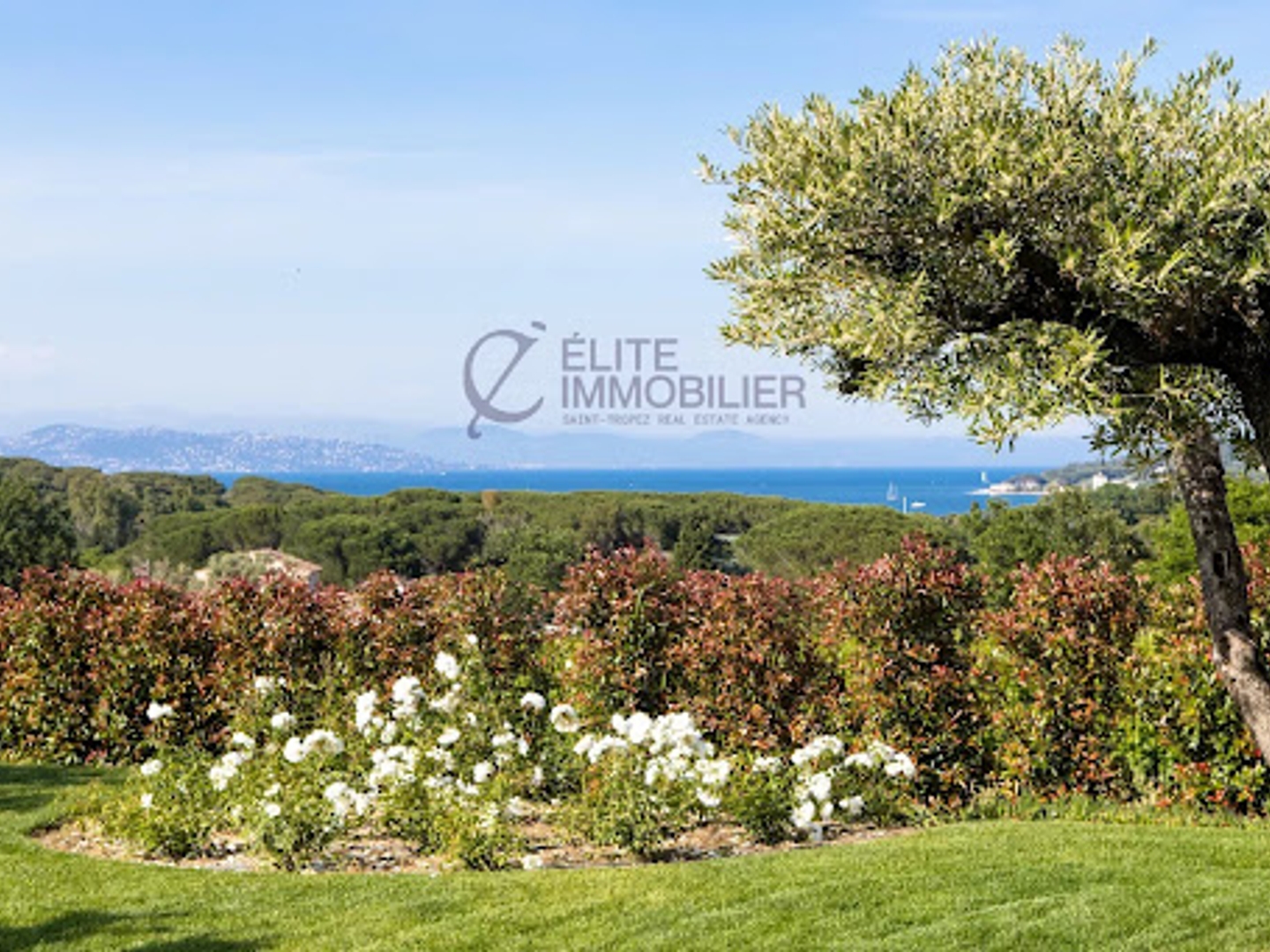 Maison à vendre - 8 pièces - 360m2 - Saint-Tropez (83990)
