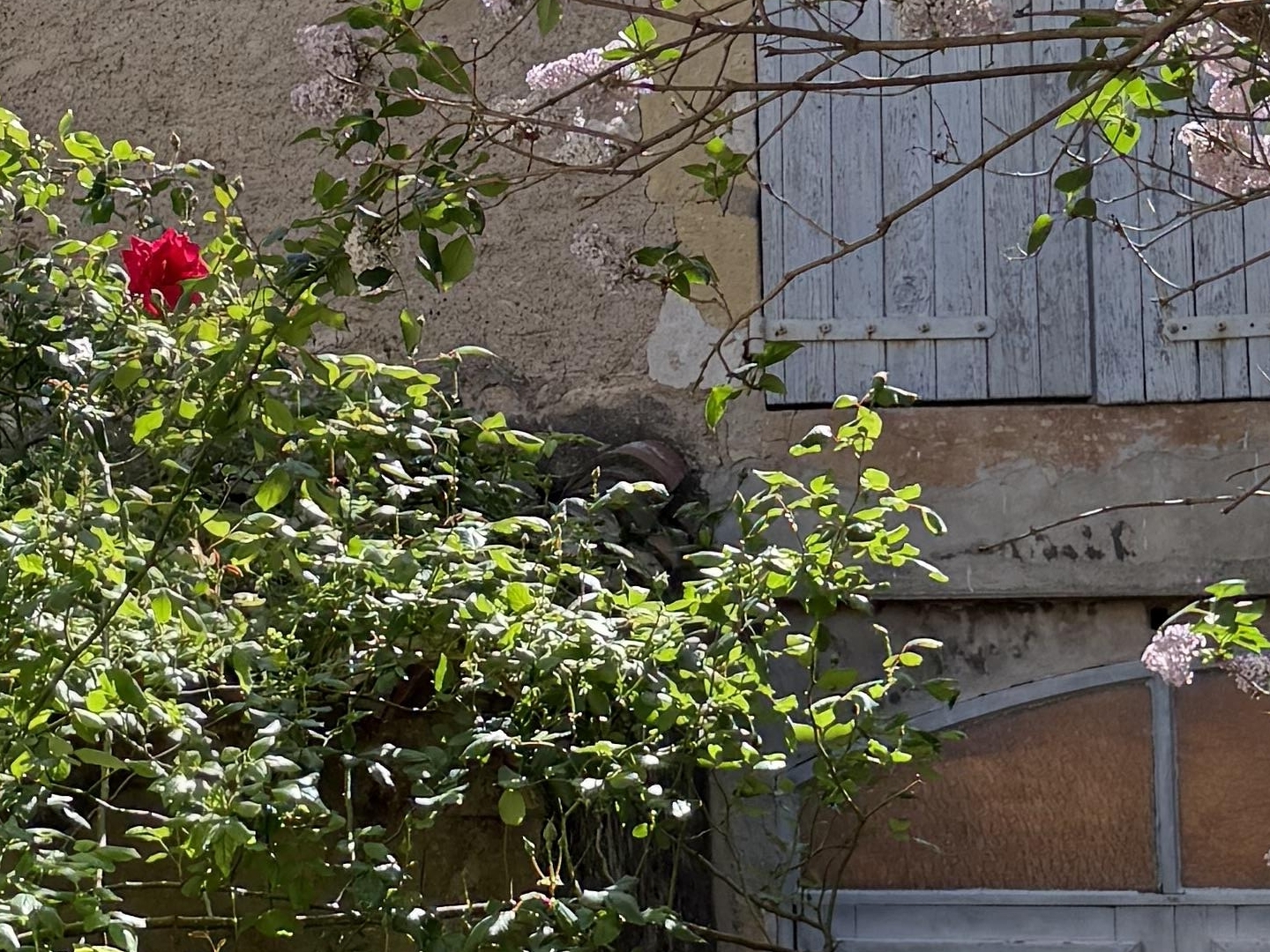 Maison à vendre - 93m2 - Capestang (34310)