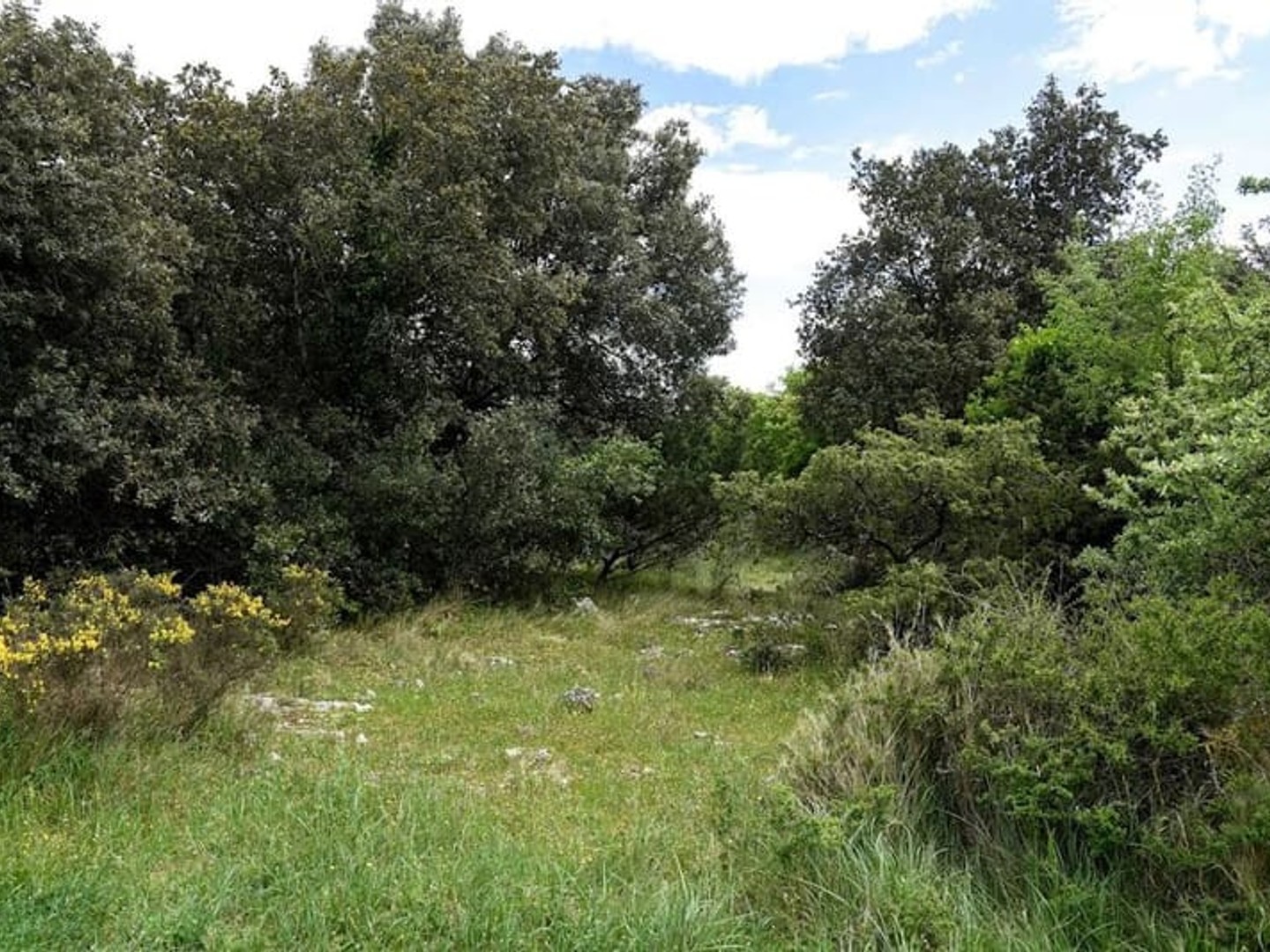 Terrain à bâtir 834 m²