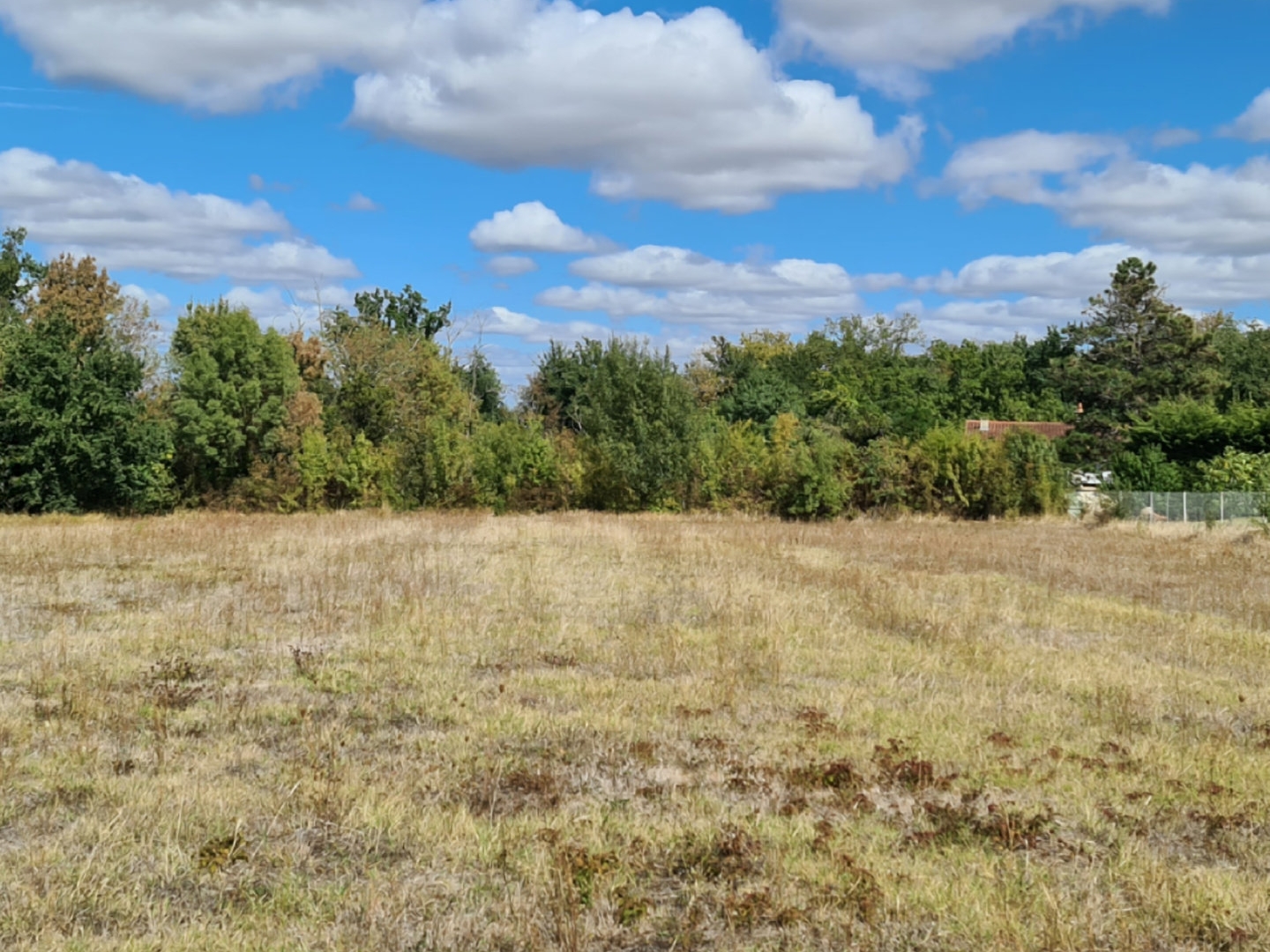 TERRAIN VIABILISÉ 2256 M2