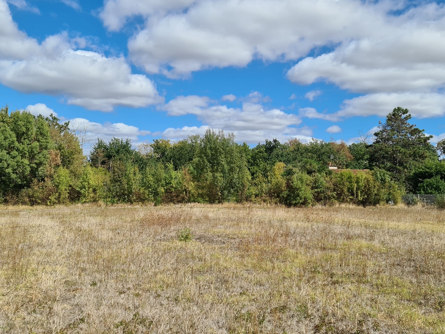Terrain à vendre - 2256m2 - Castelmaurou (31180)