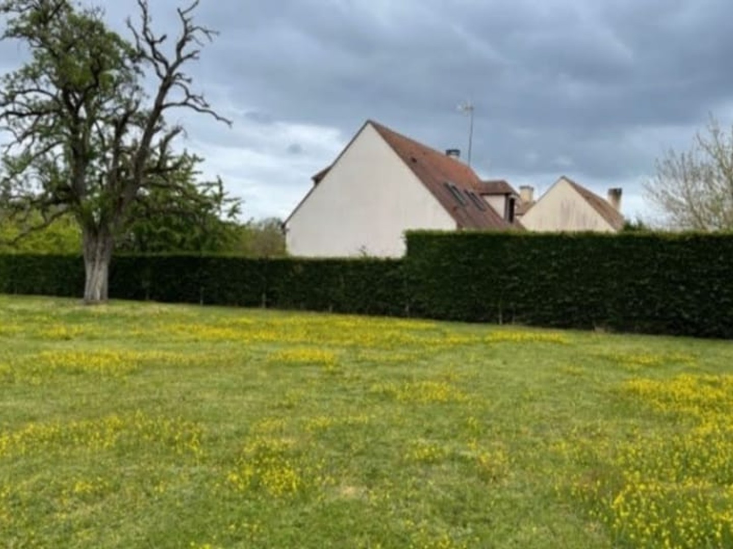 Terrain 450 m²