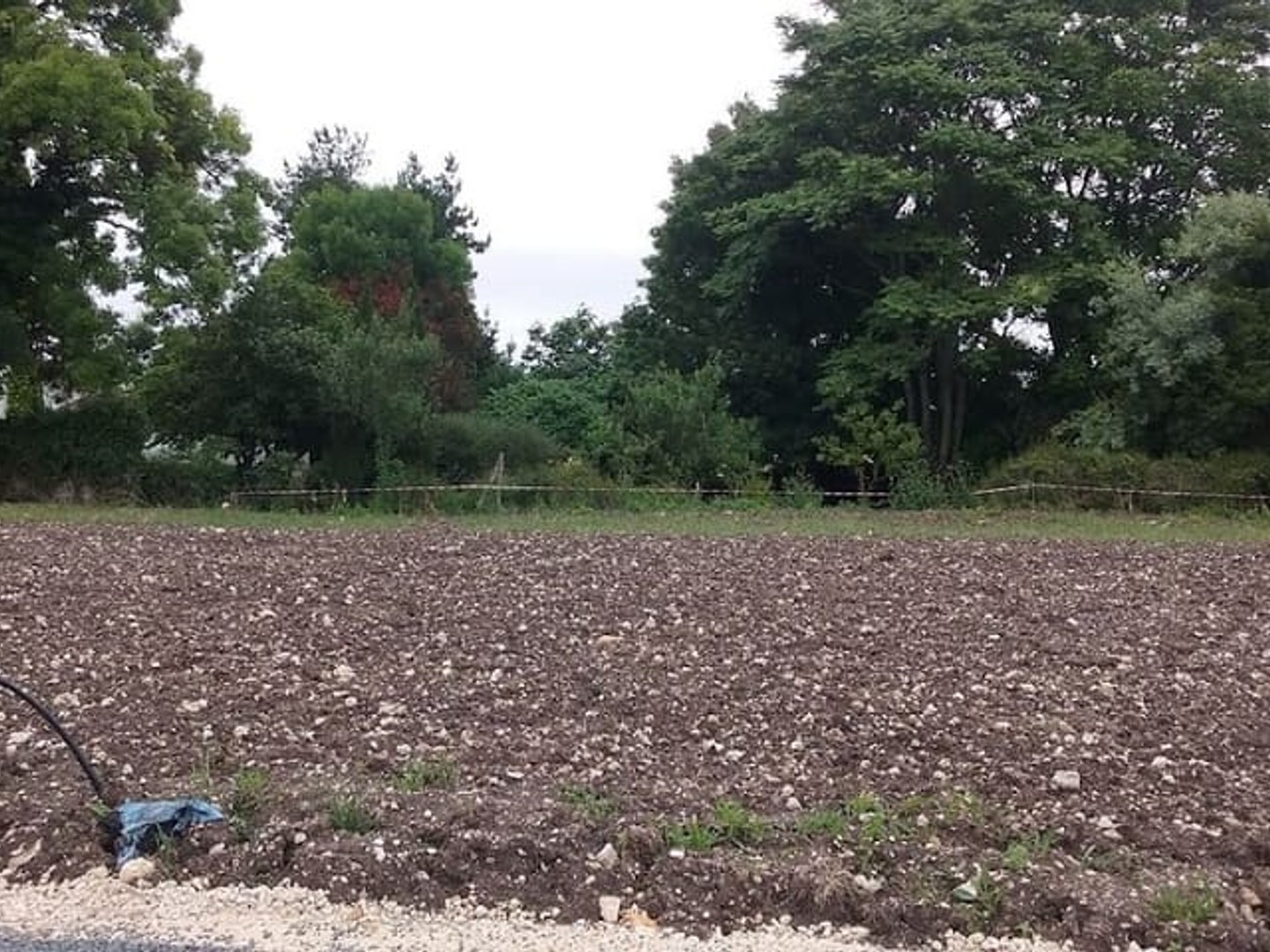 Terrain 496 m²