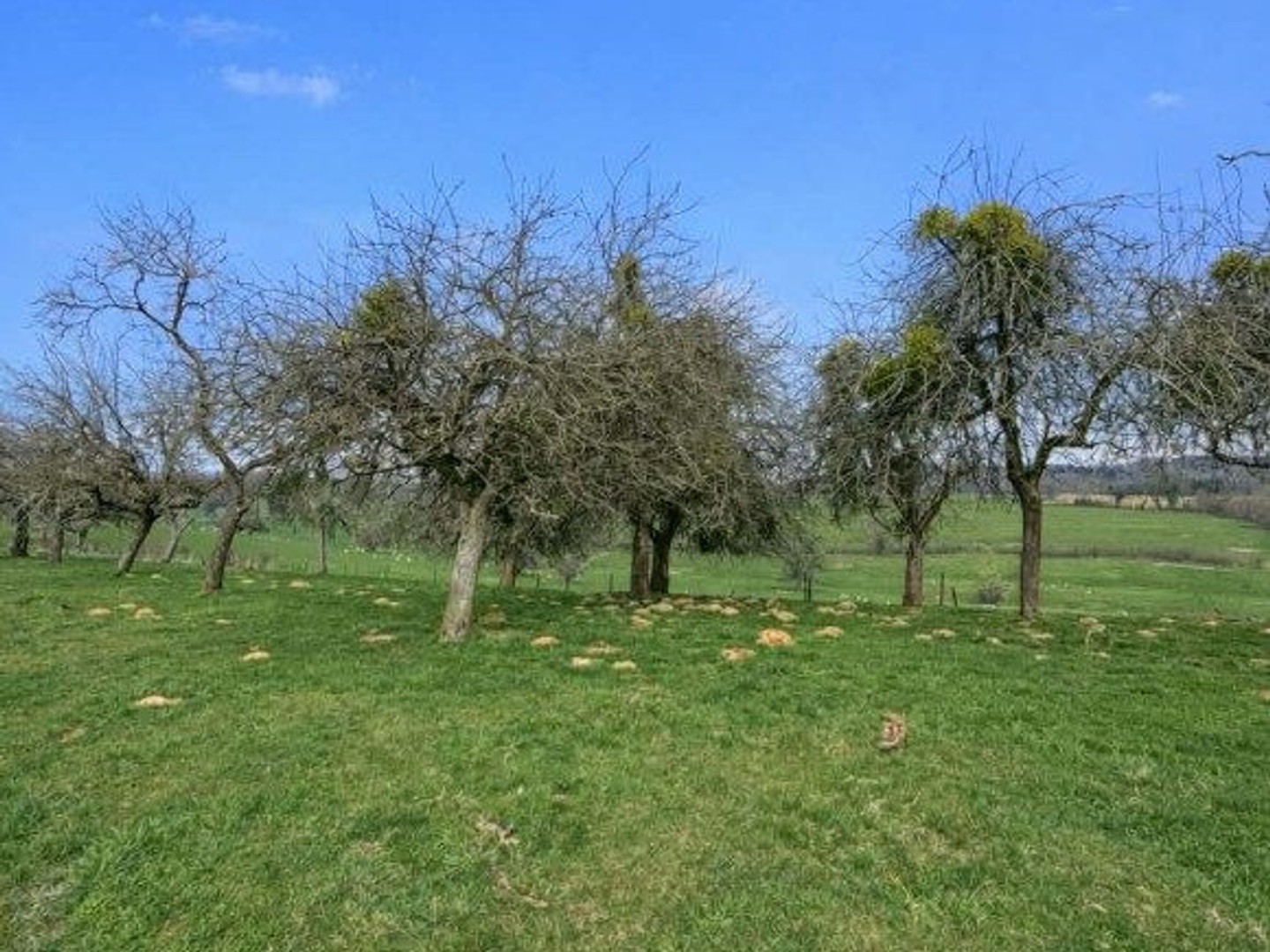 Terrain