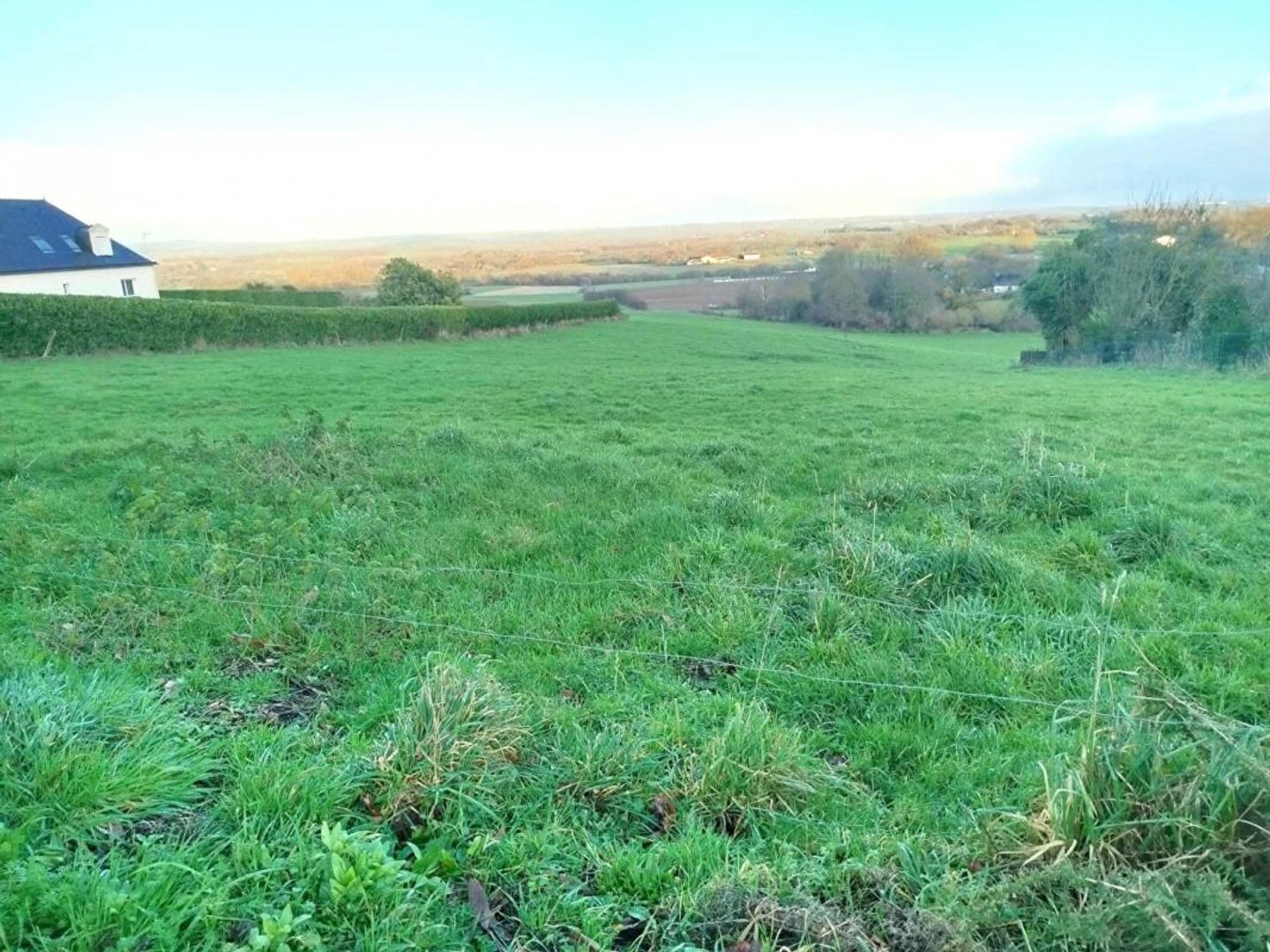 Terrain constructible