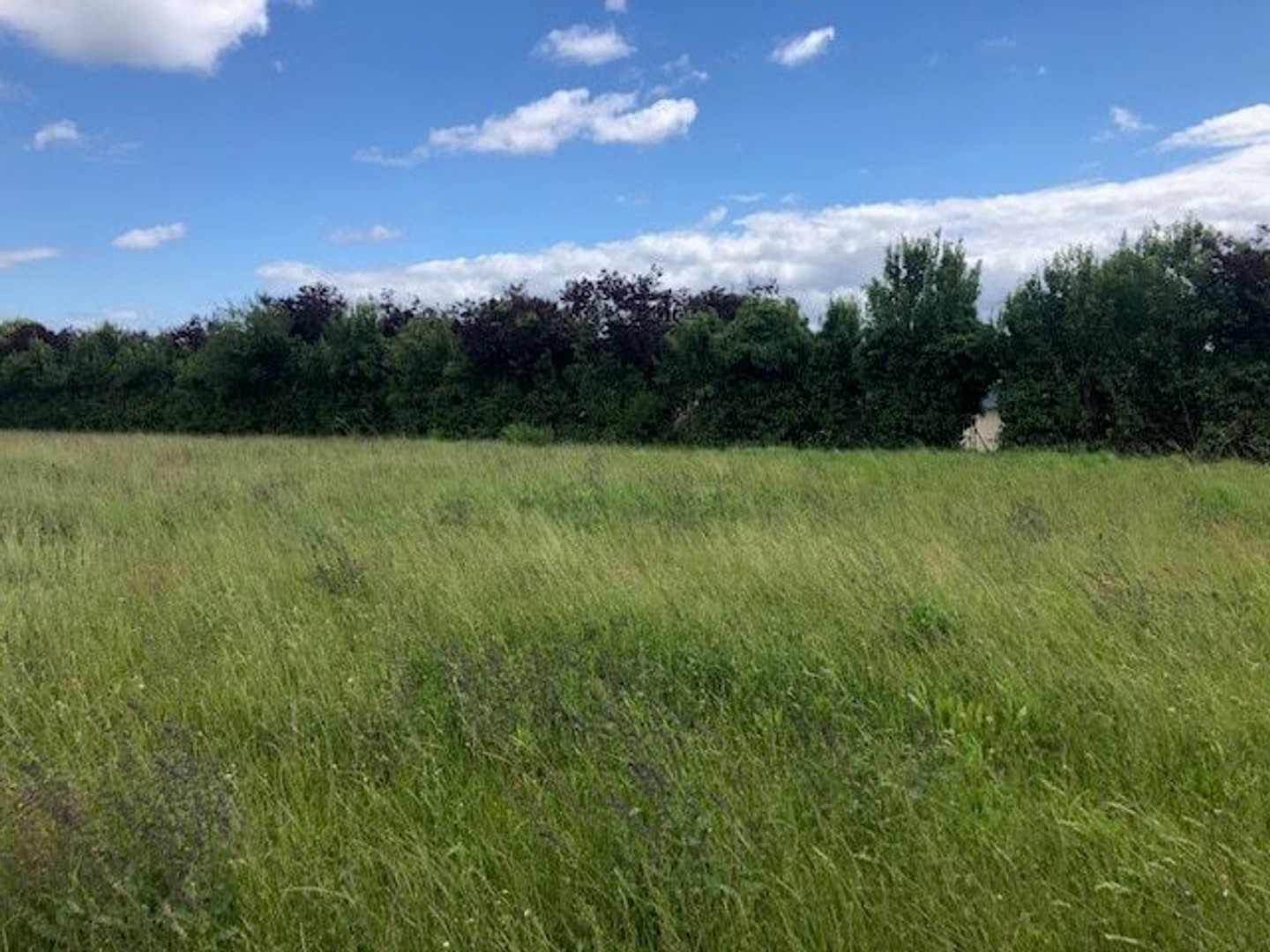 Terrain 672 m²