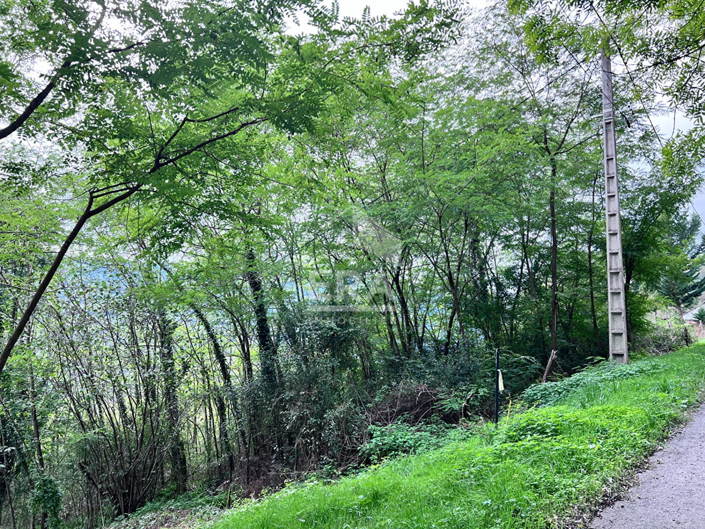 Terrain à vendre - 1500m2 - Audressein (09800)