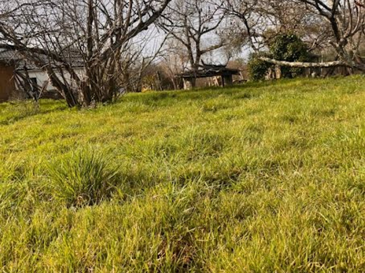 Terrain 1500 m²