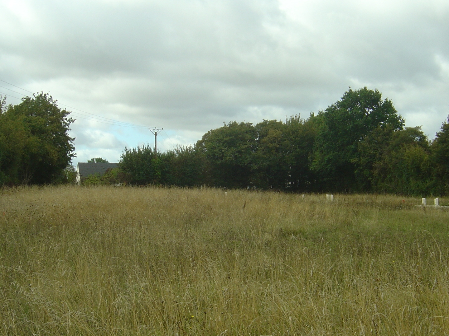 Terrain à vendre - 416m2 - Saint-Paterne - L... (72610)