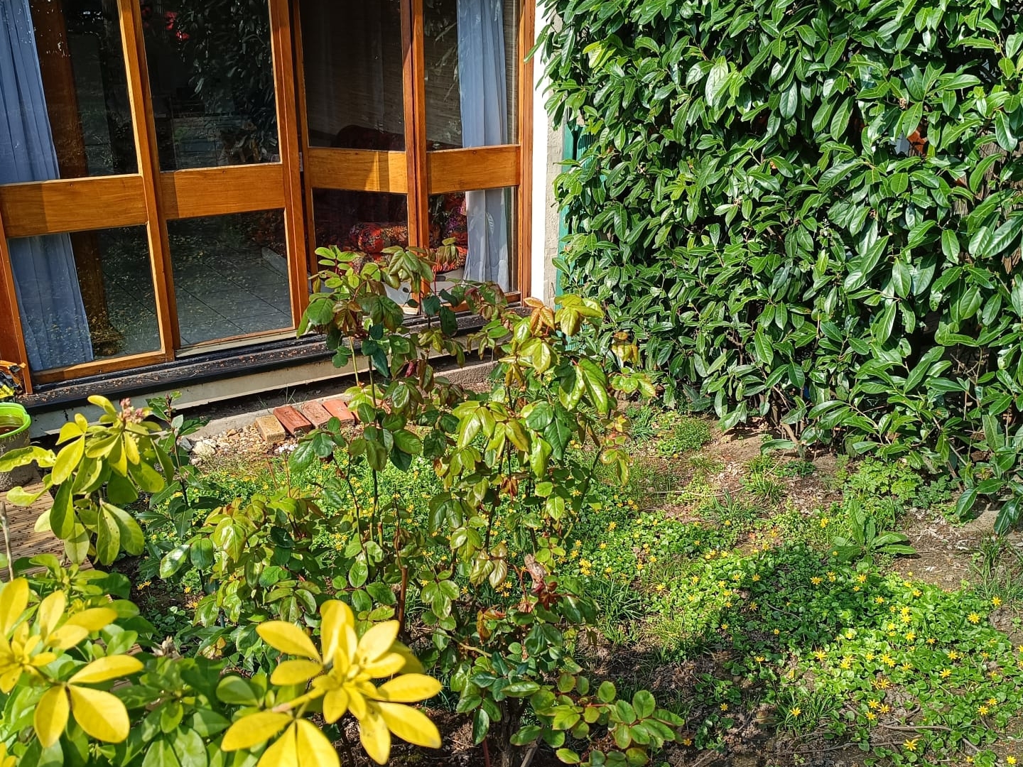 Appartement 1 pièce 16 m²