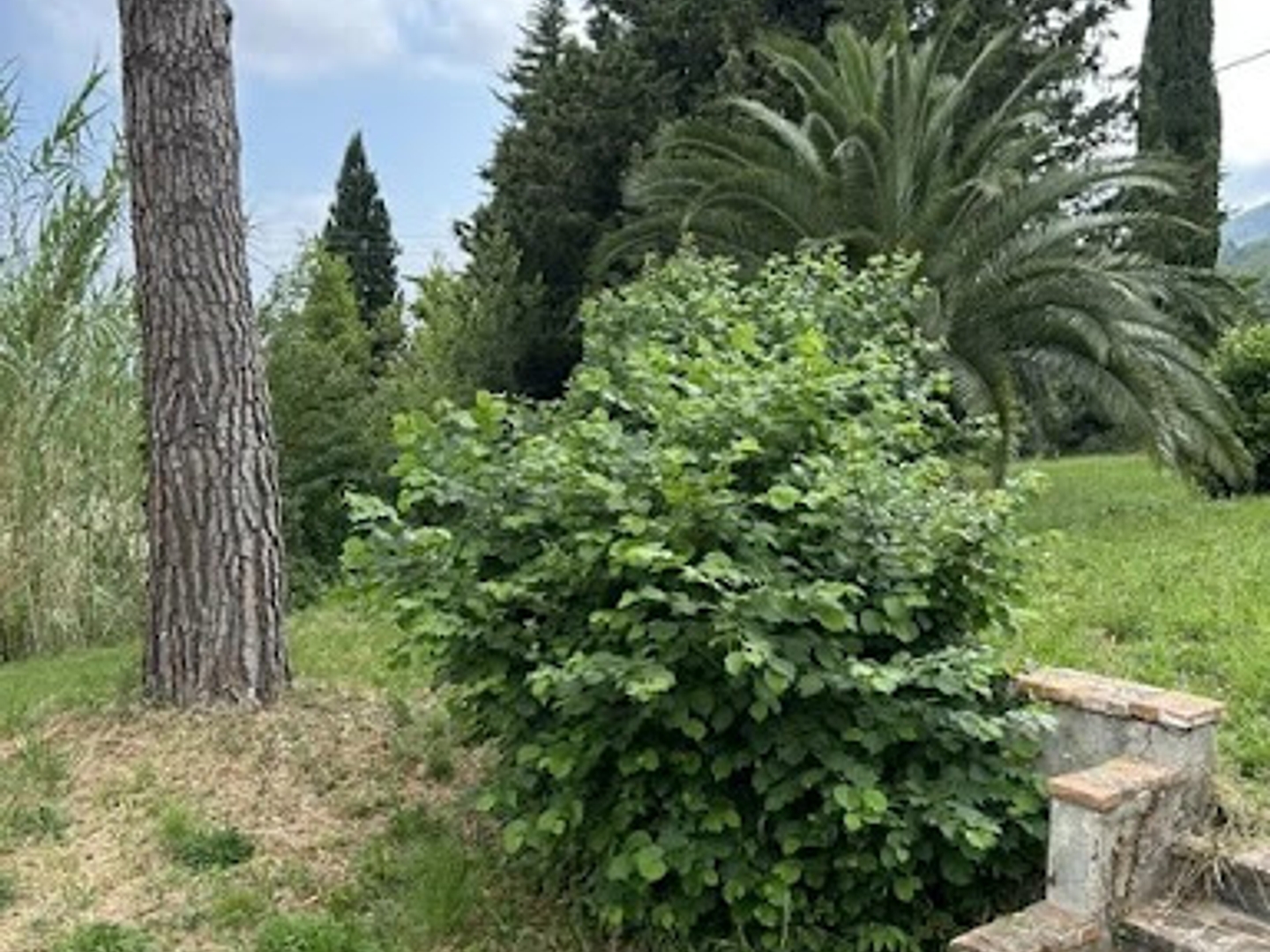Terrain à vendre - 2000m2 - Vence (06140)