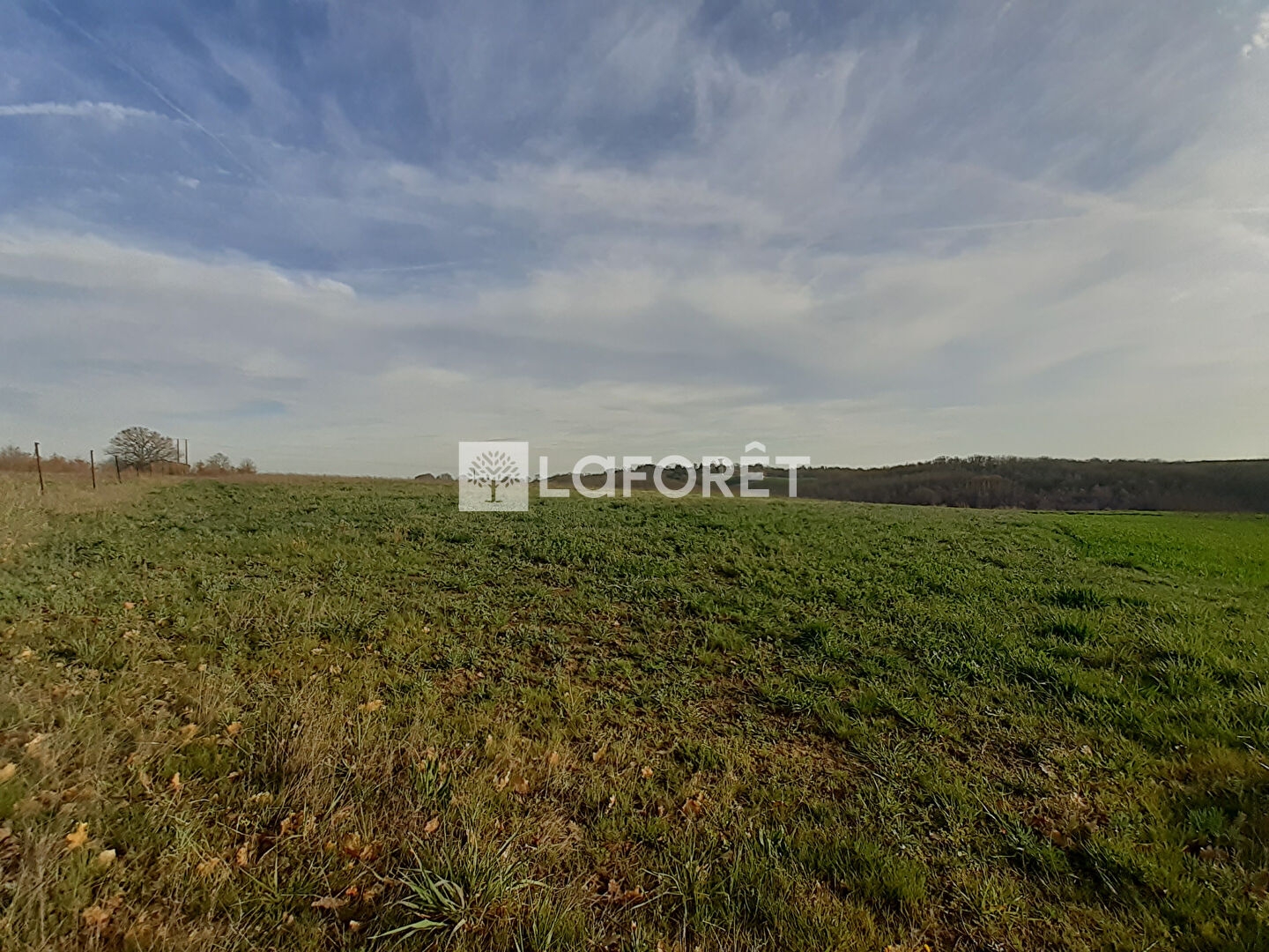 Terrain 66456 m²