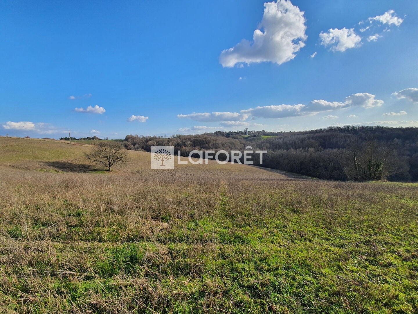 Terrain à vendre - 66456m2 - Le Born (31340)